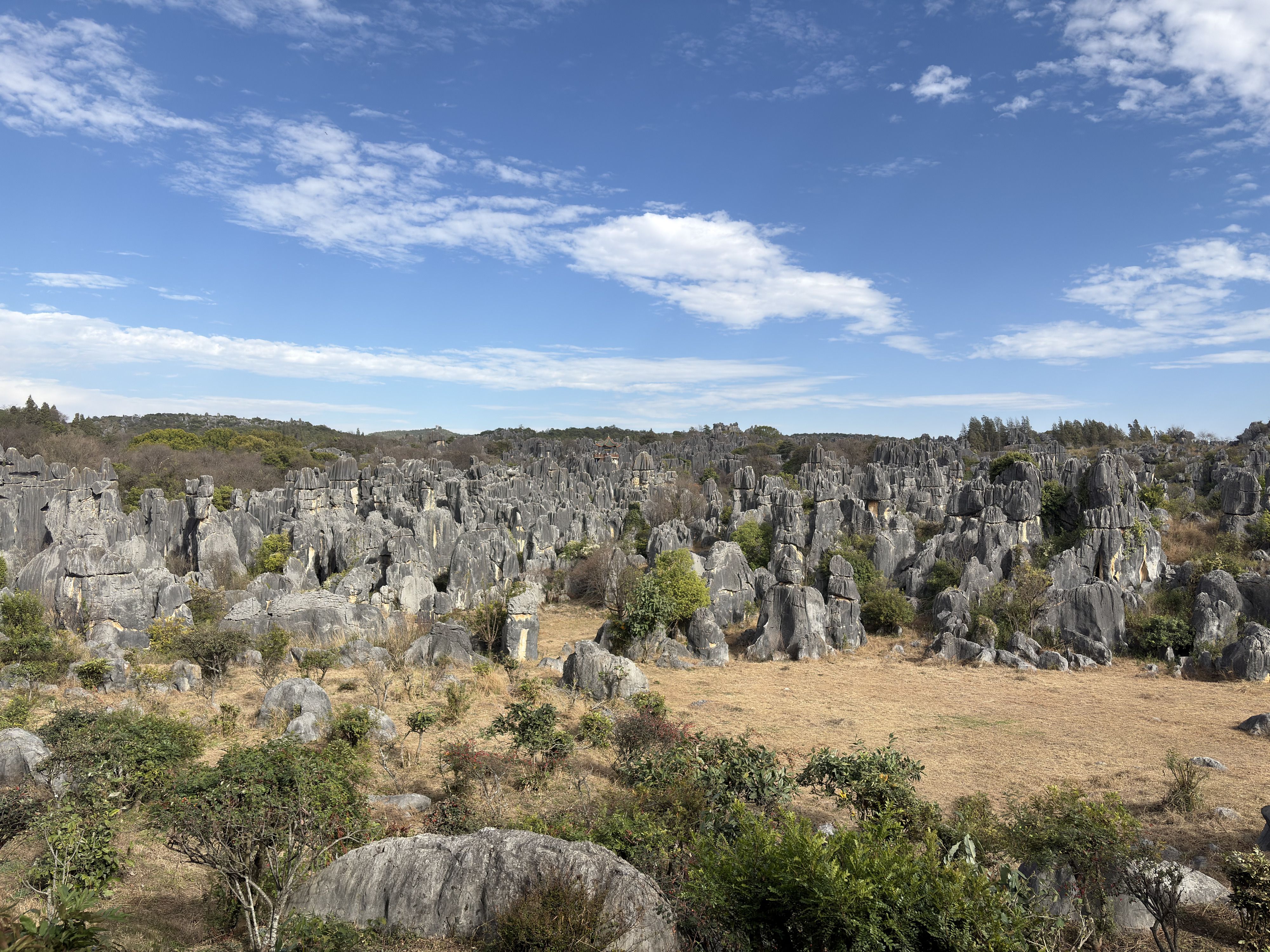 Picture China Shilin Stone Forest 2026-01 390 - Tours Shilin Stone Forest