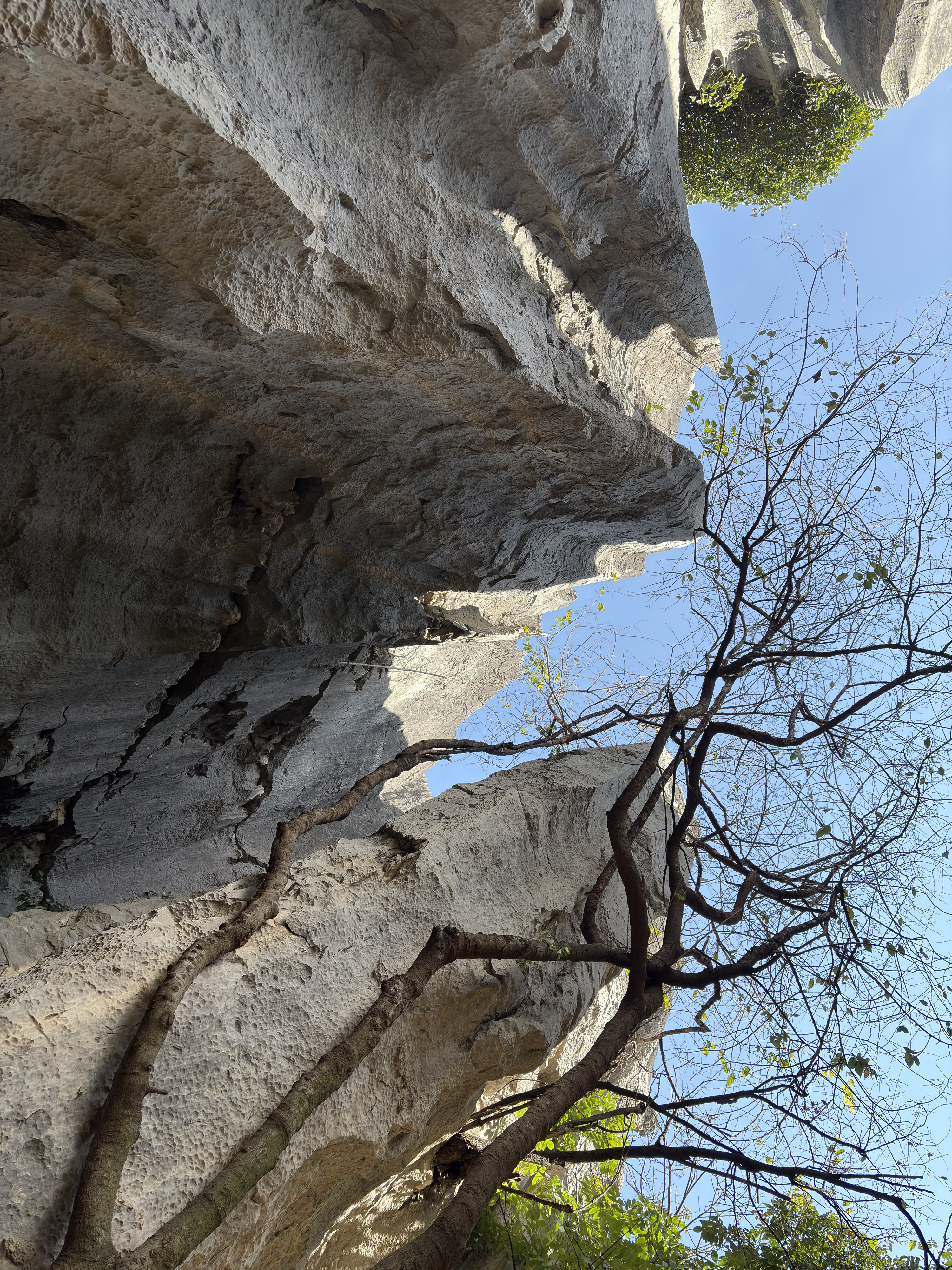 Picture China Shilin Stone Forest 2026-01 306 - Tour Shilin Stone Forest