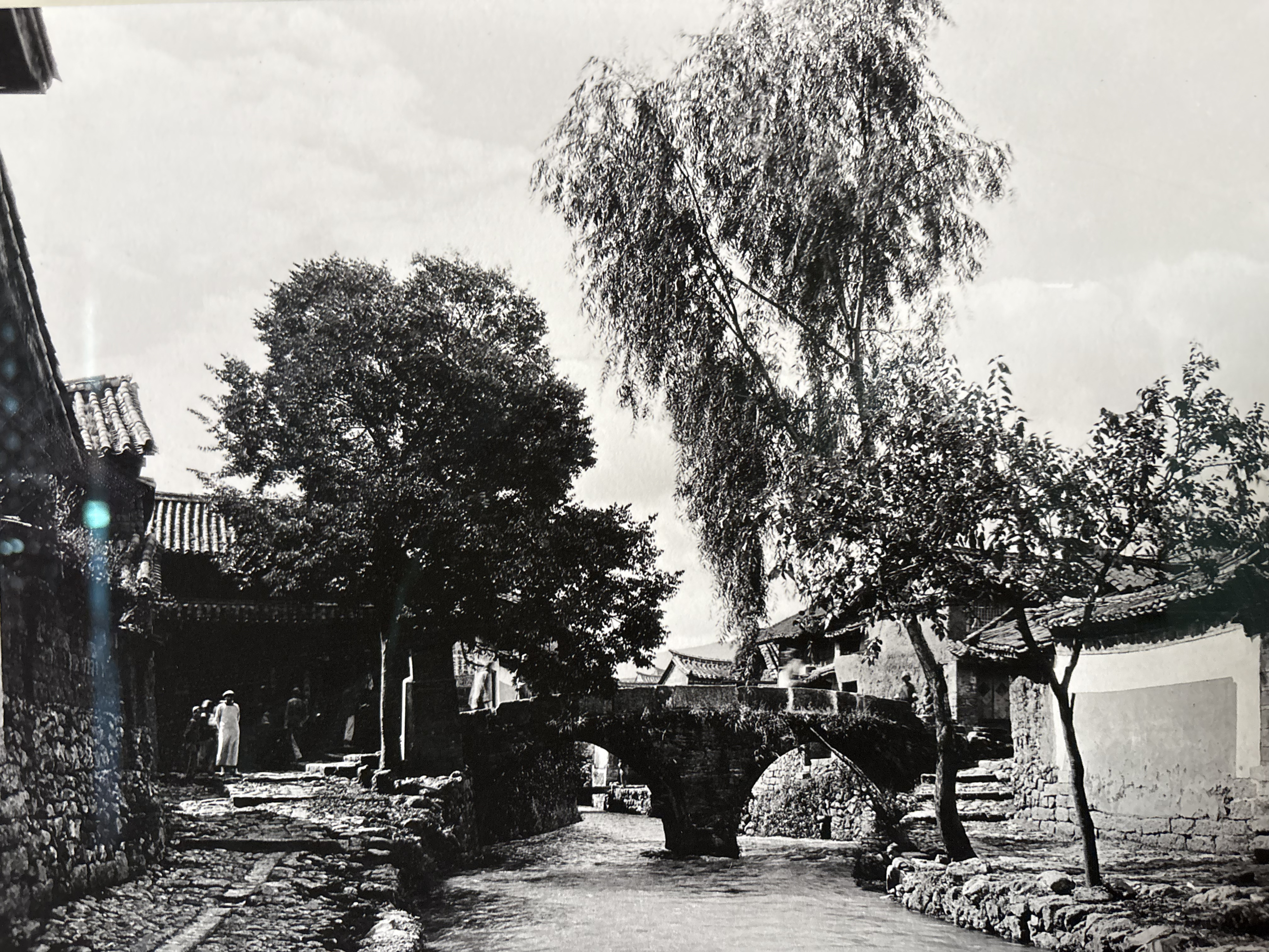 Picture China Lijiang 2026-01 347 - Discovery Lijiang