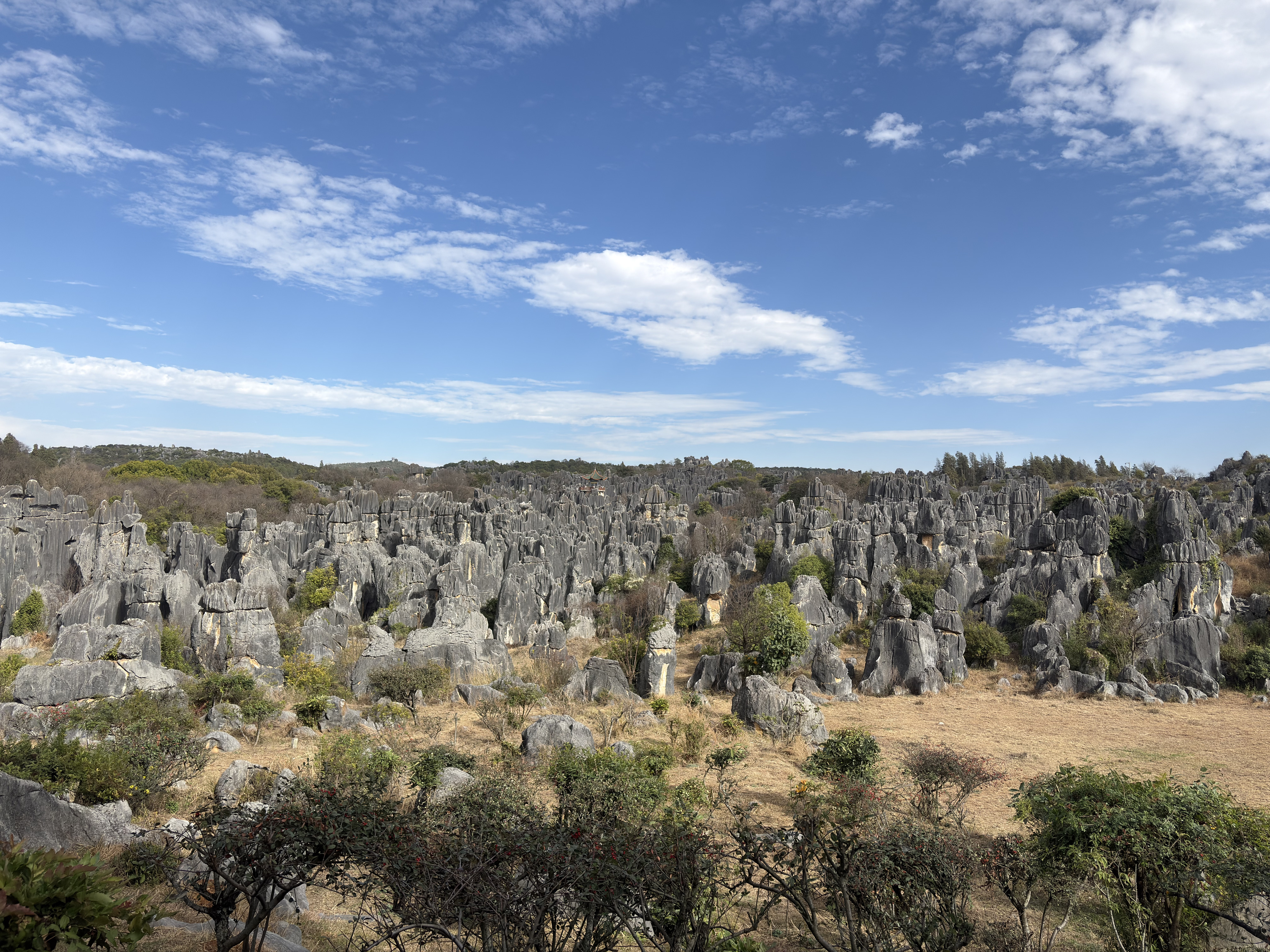 Picture China Shilin Stone Forest 2026-01 307 - Tours Shilin Stone Forest