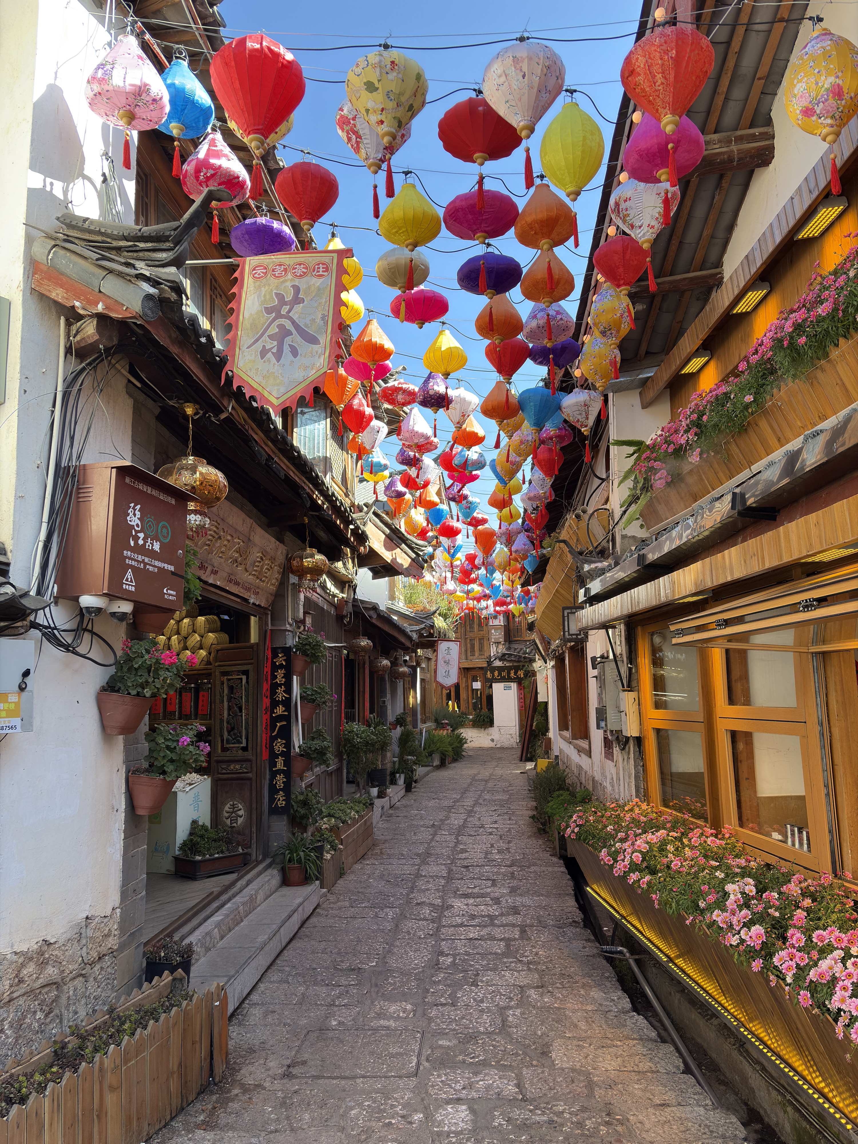Picture China Lijiang 2026-01 523 - Tours Lijiang