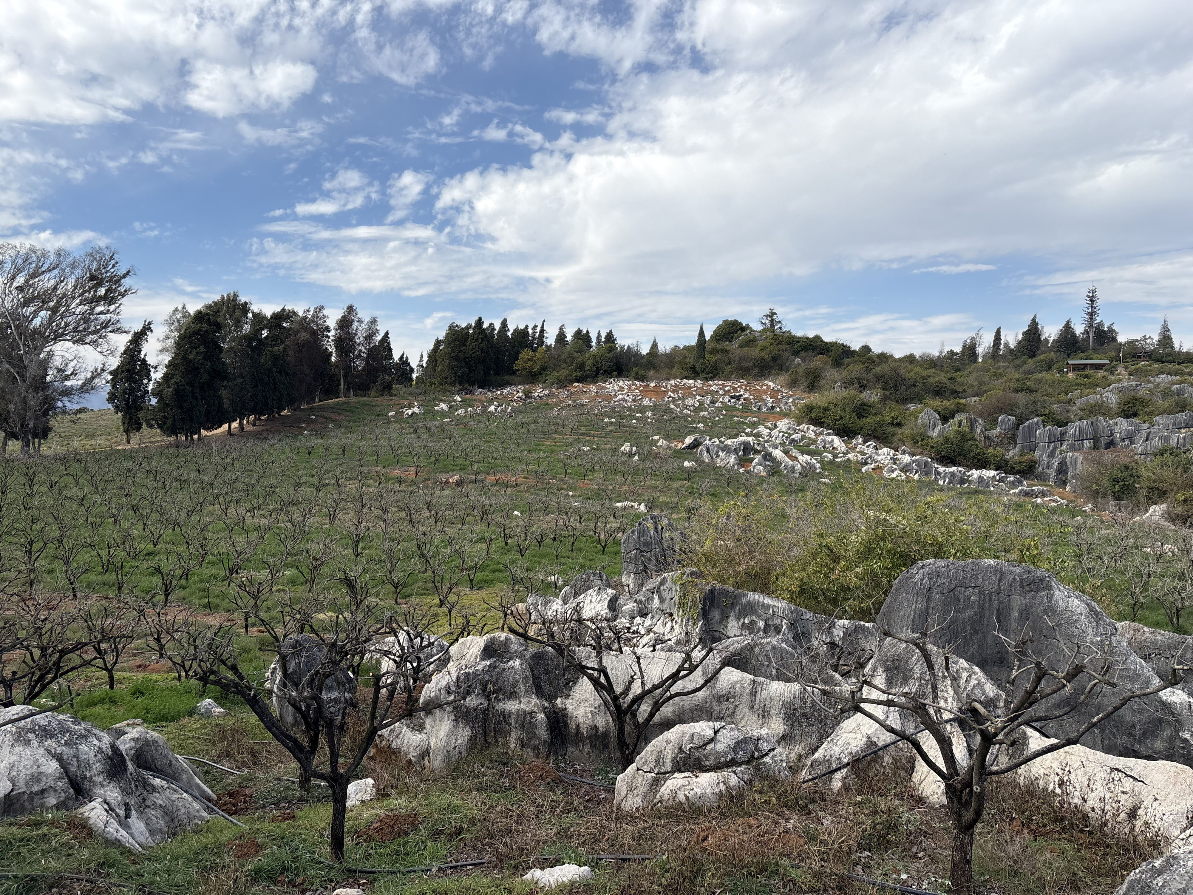 Picture China Shilin Stone Forest 2026-01 174 - Recreation Shilin Stone Forest