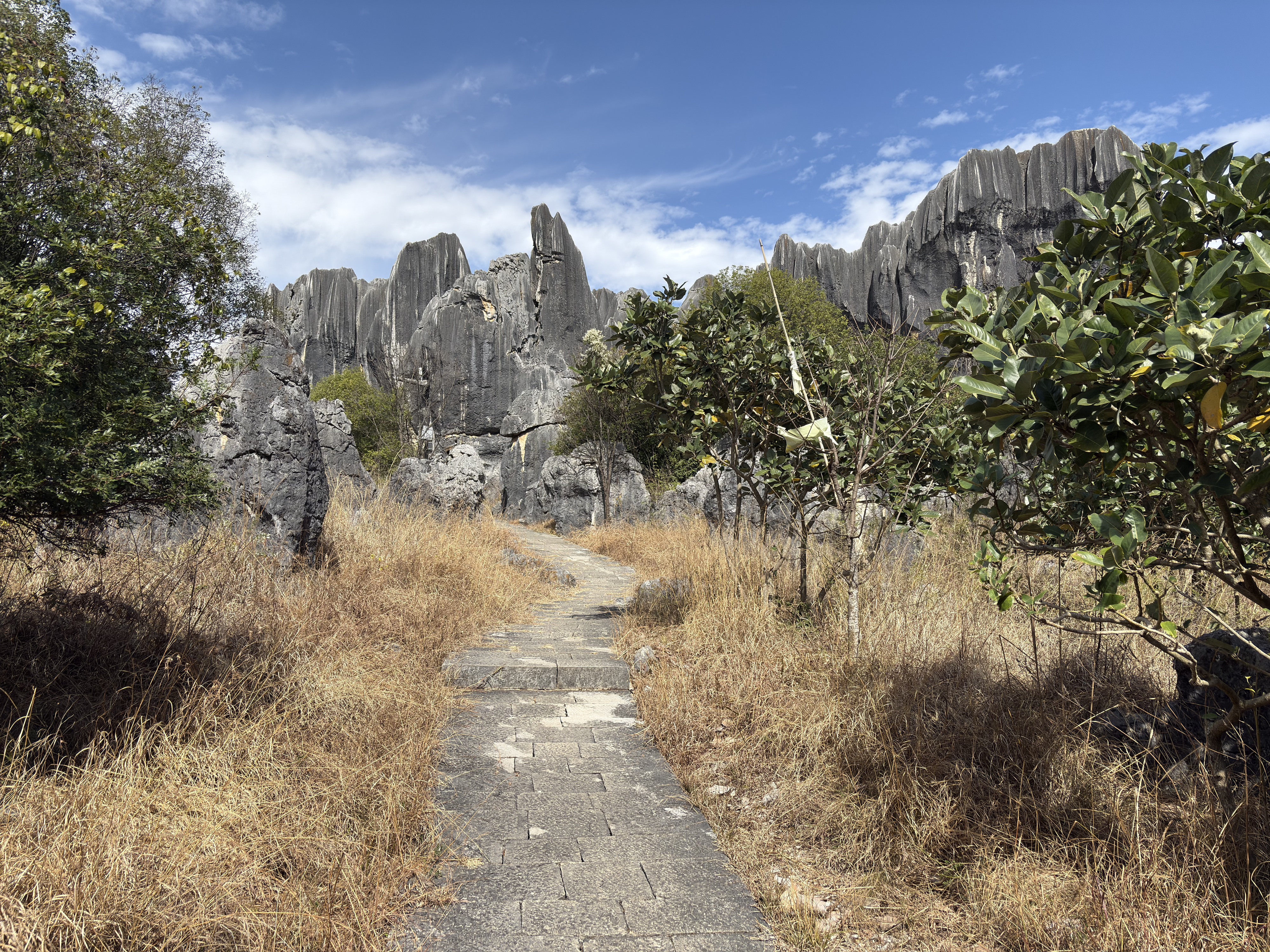 Picture China Shilin Stone Forest 2026-01 5 - Around Shilin Stone Forest