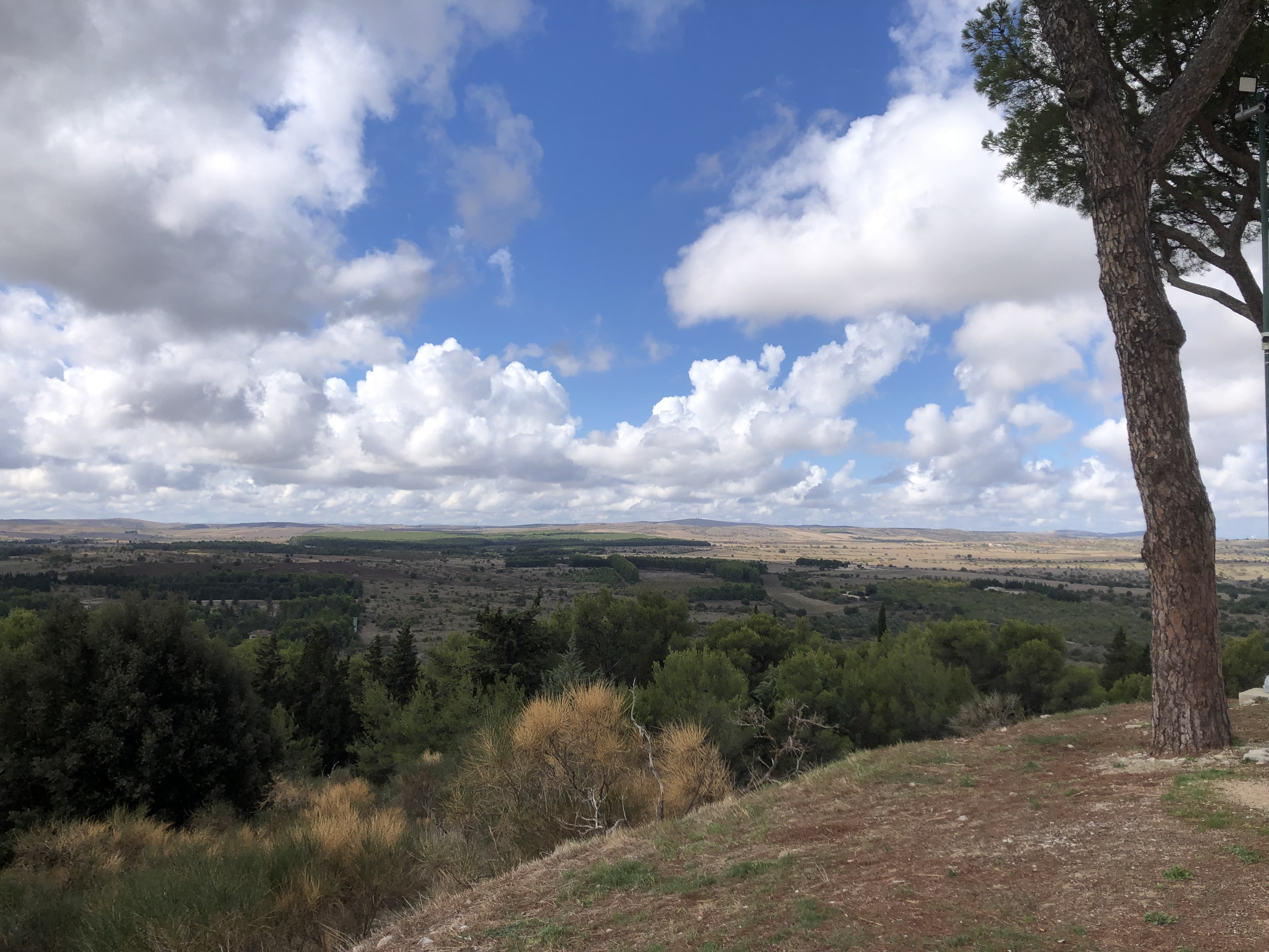Picture Italy Castel del monte 2024-09 105 - Around Castel del monte