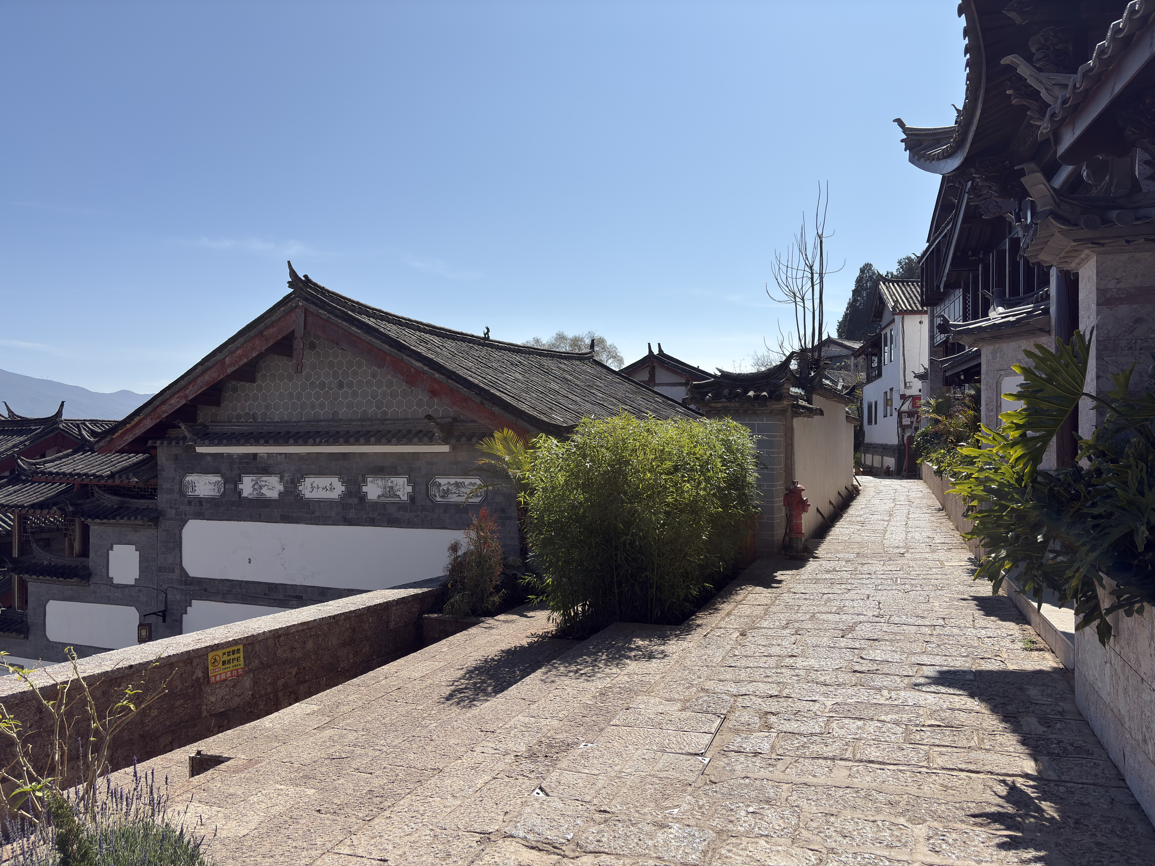 Picture China Lijiang 2026-01 485 - Center Lijiang