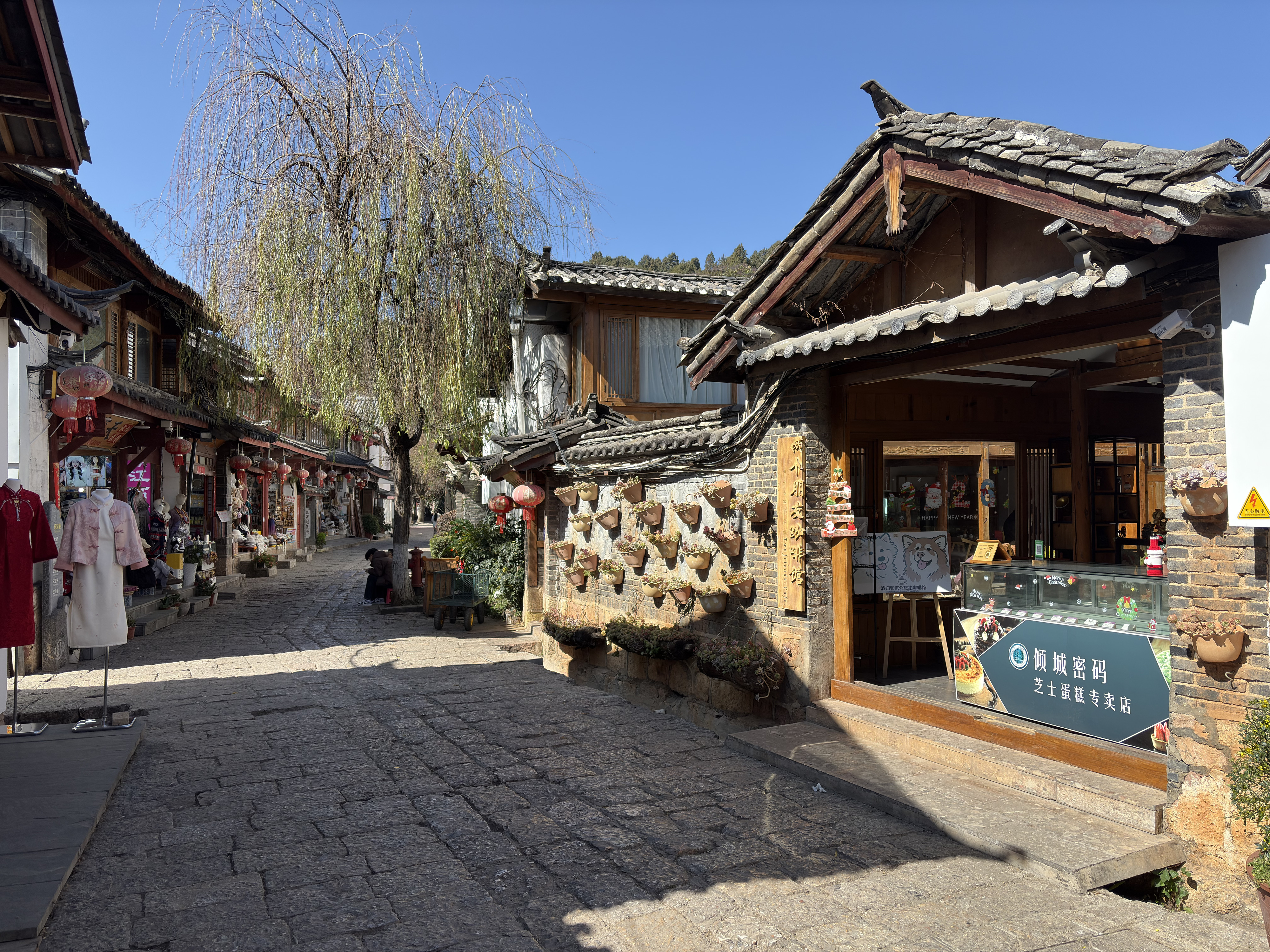 Picture China Lijiang 2026-01 178 - Recreation Lijiang