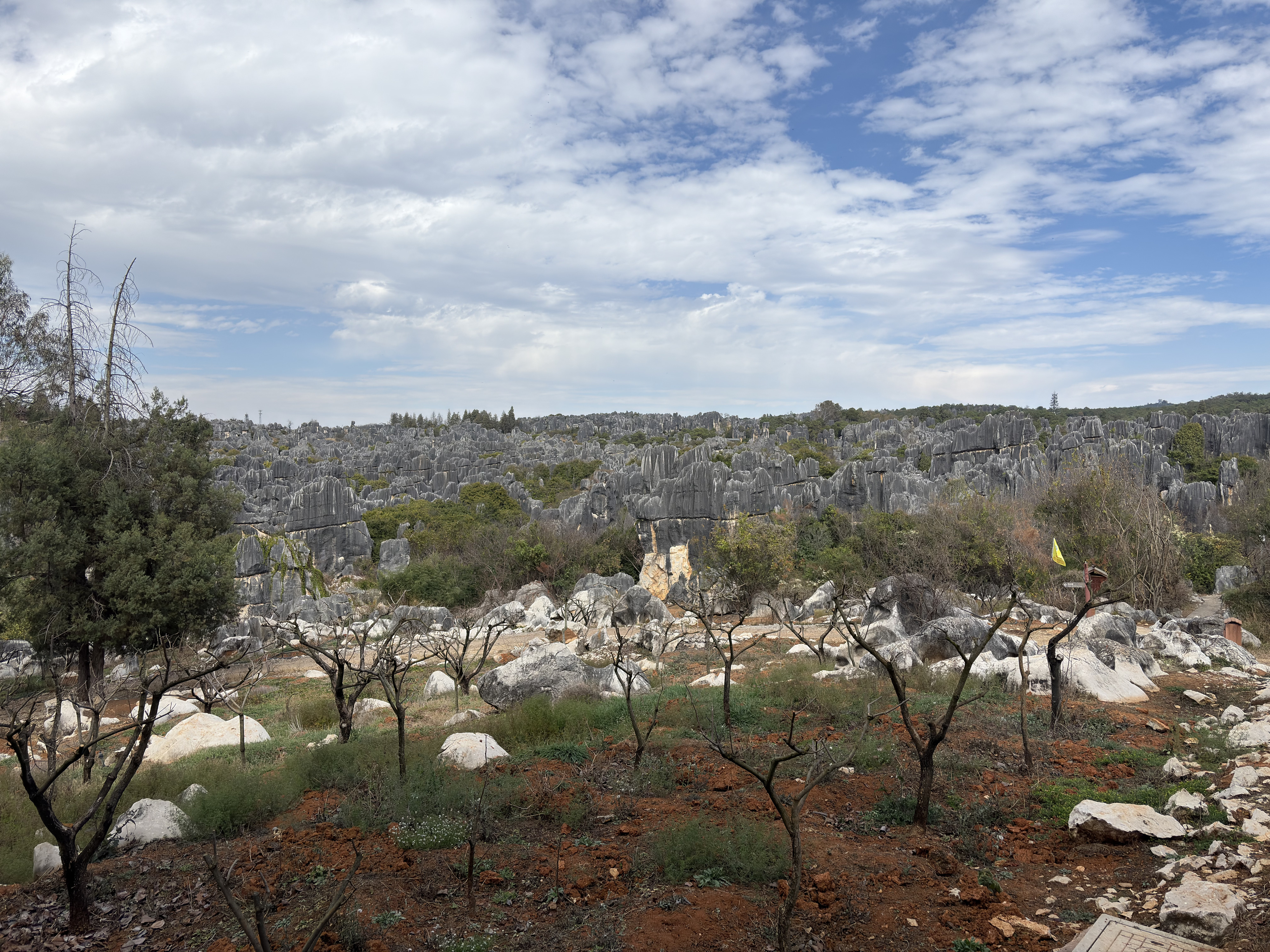 Picture China Shilin Stone Forest 2026-01 197 - History Shilin Stone Forest