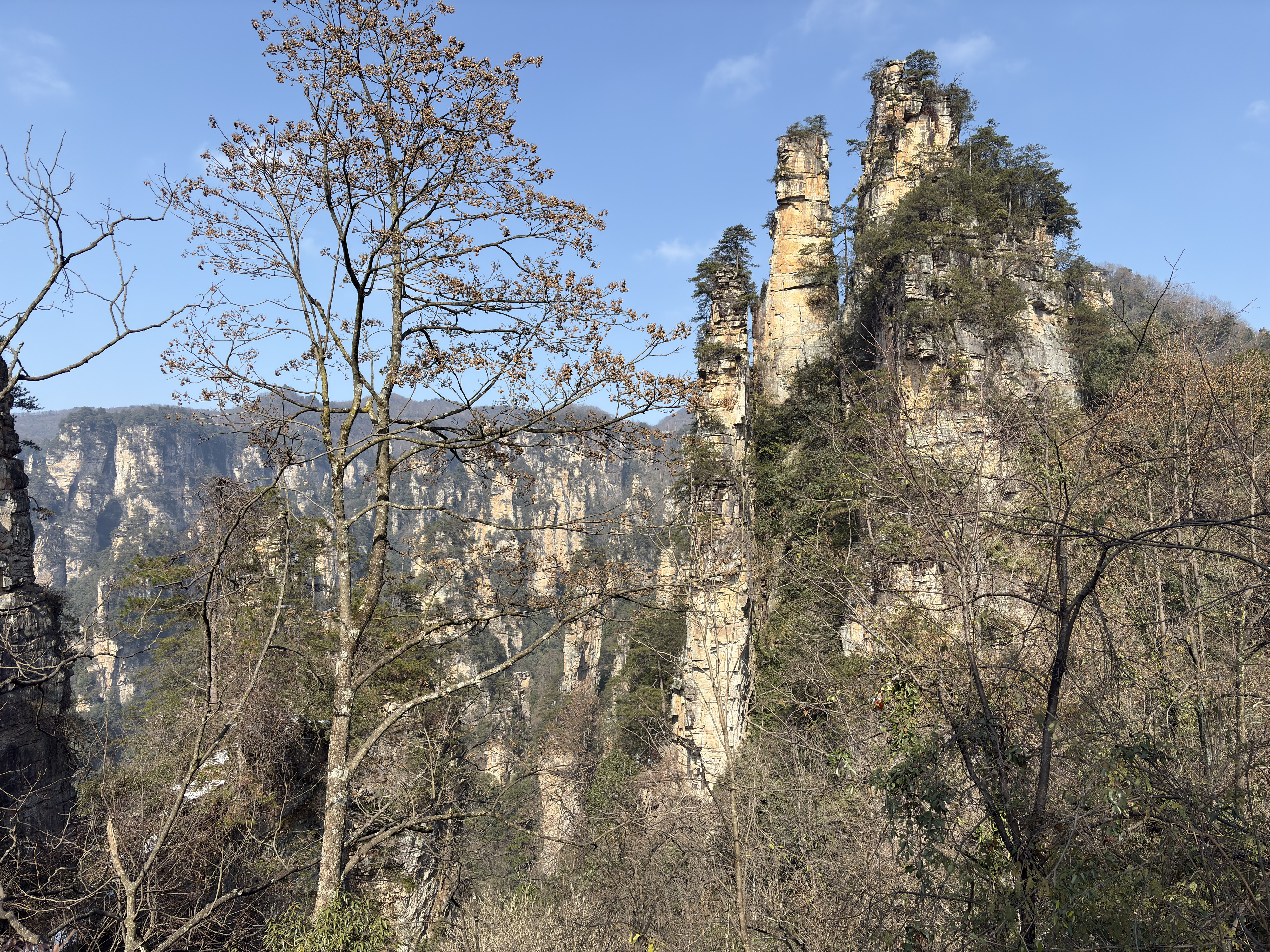 Picture China Zhangjiajie Tianzi Mountrain 2026-01 242 - Discovery Tianzi Mountrain