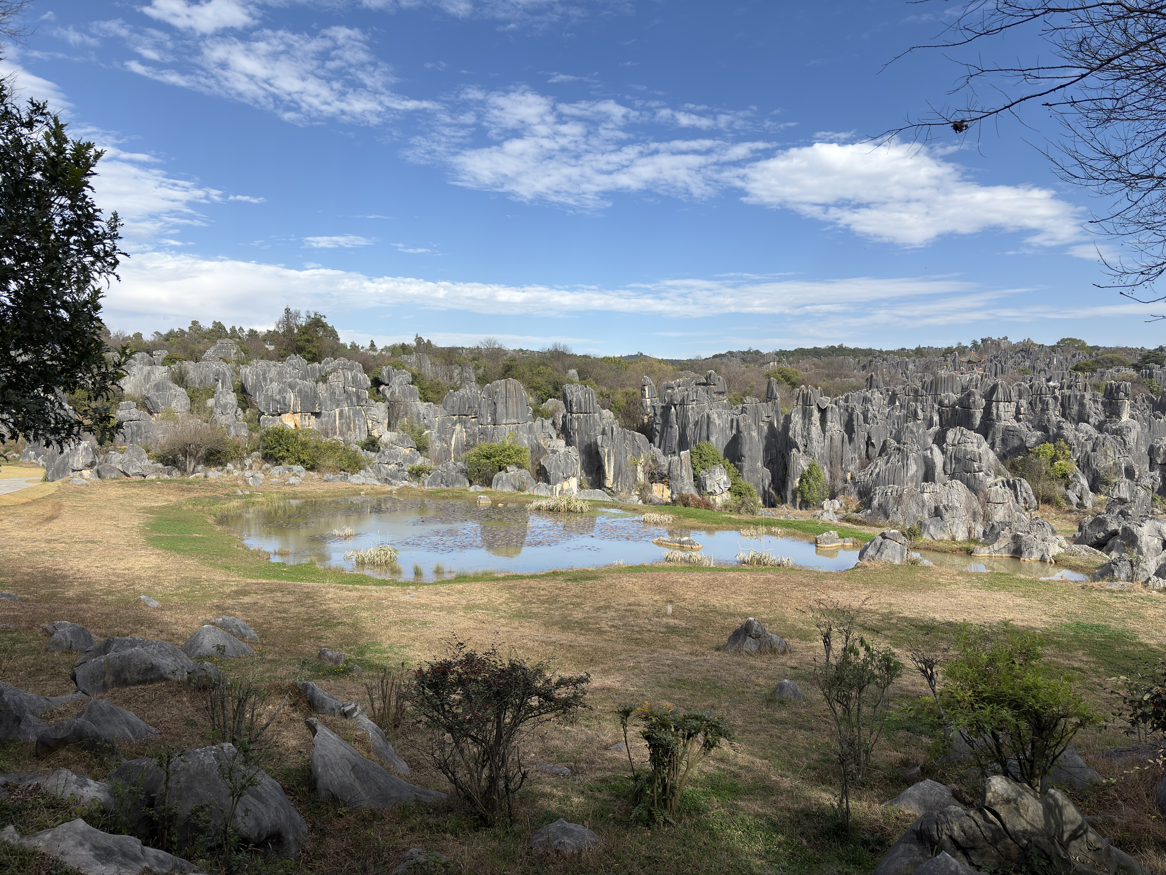 Picture China Shilin Stone Forest 2026-01 19 - Tours Shilin Stone Forest