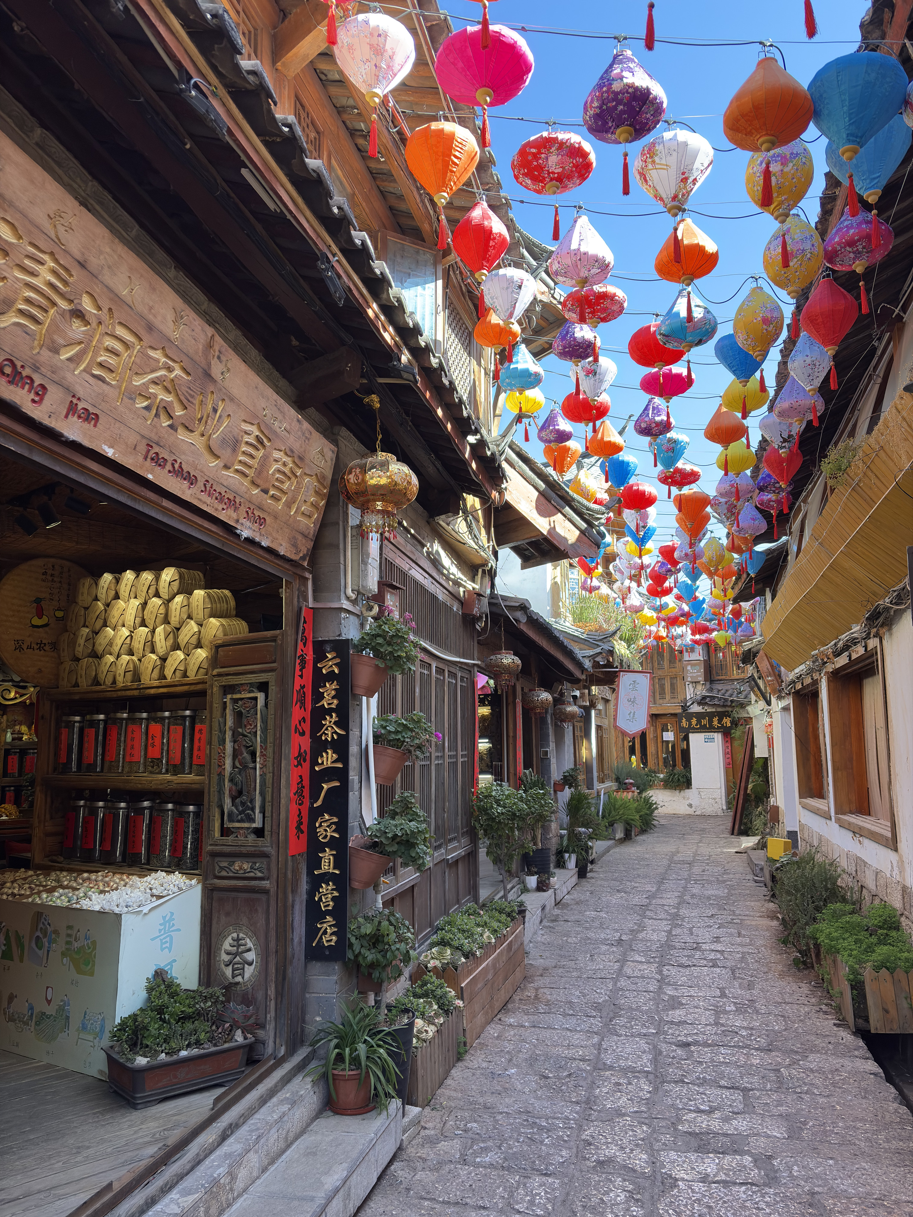 Picture China Lijiang 2026-01 290 - Discovery Lijiang