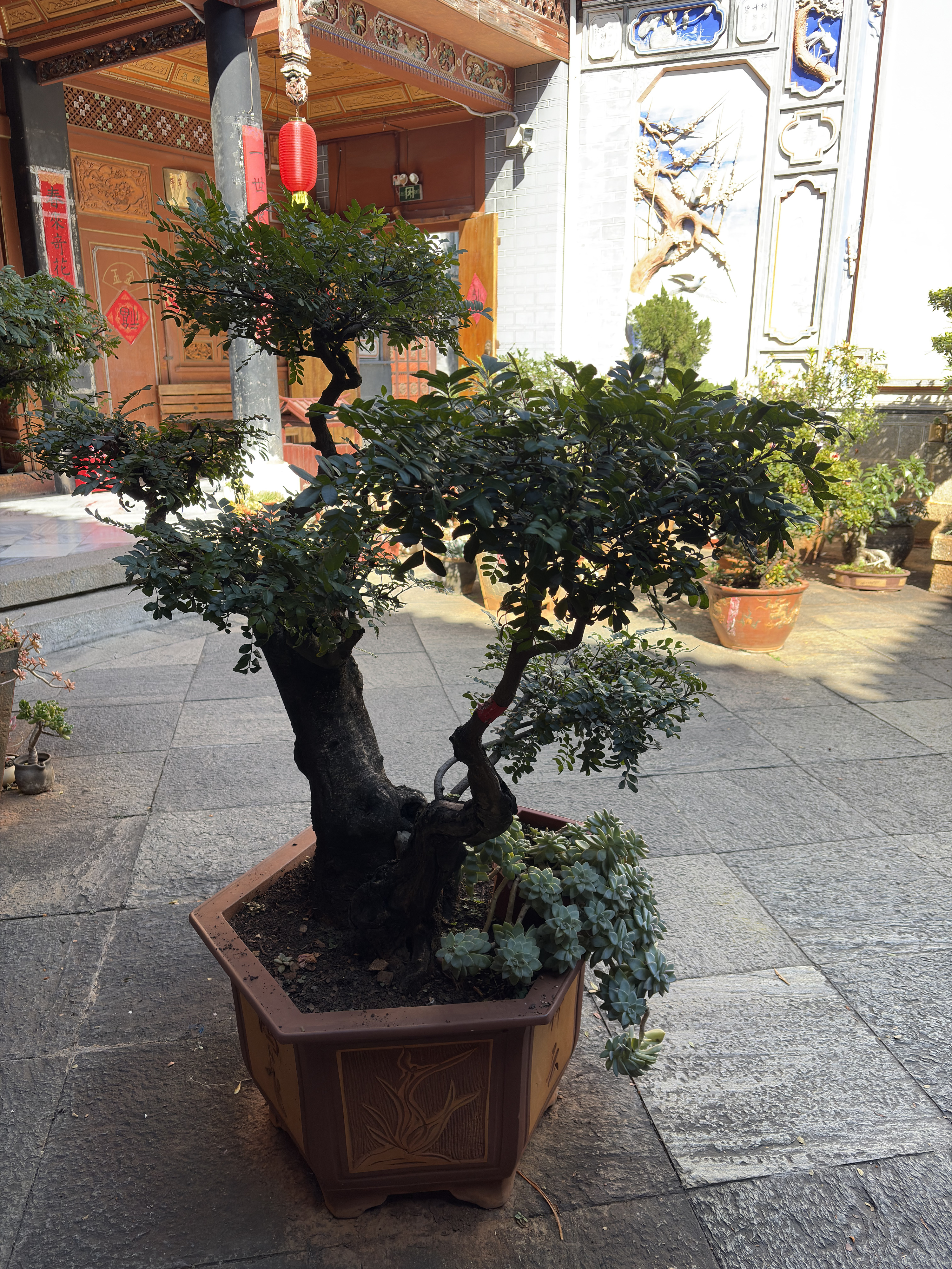 Picture China Dali Xizhouzhen 2026-01 121 - History Xizhouzhen
