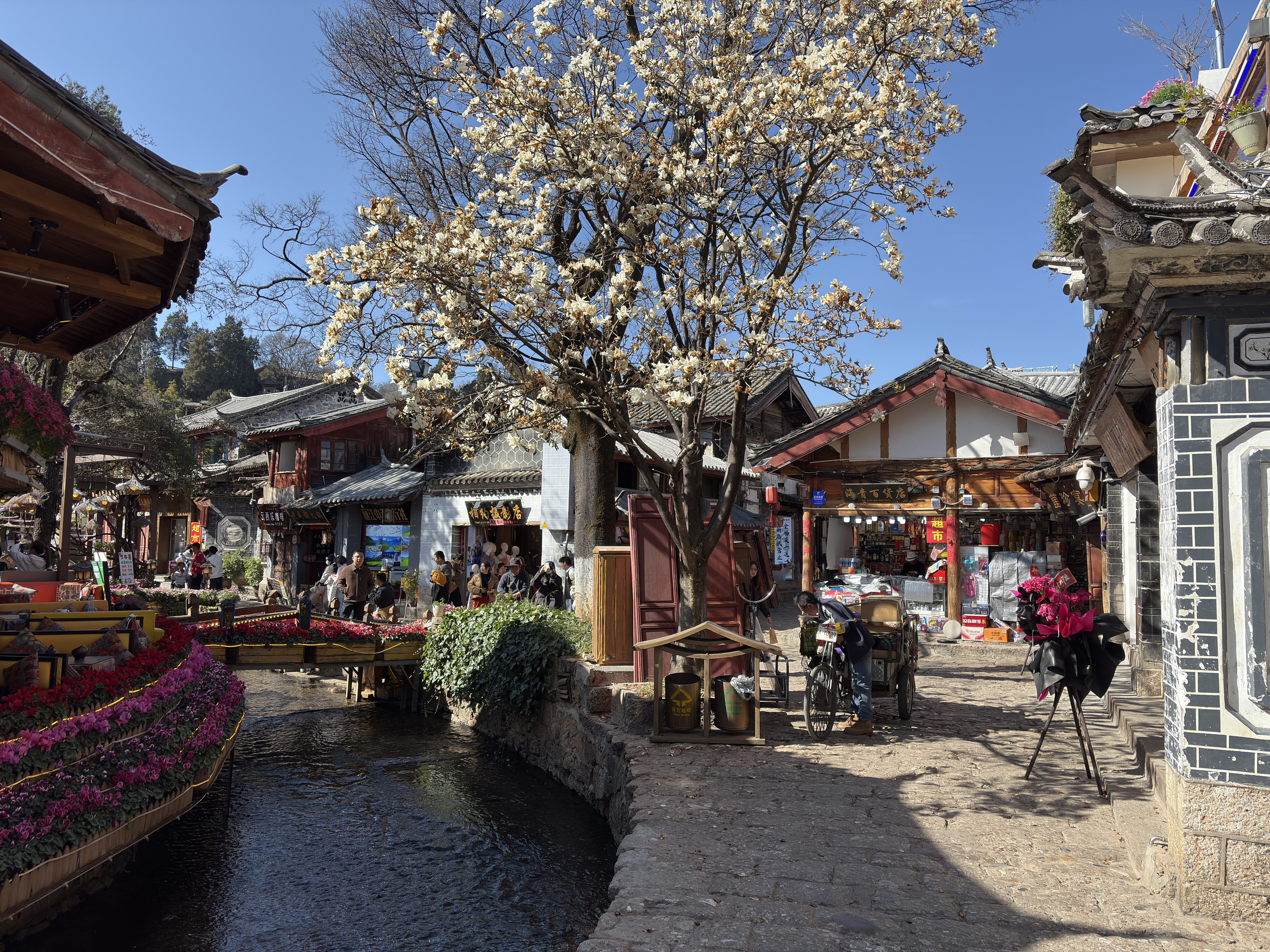 Picture China Lijiang 2026-01 299 - History Lijiang