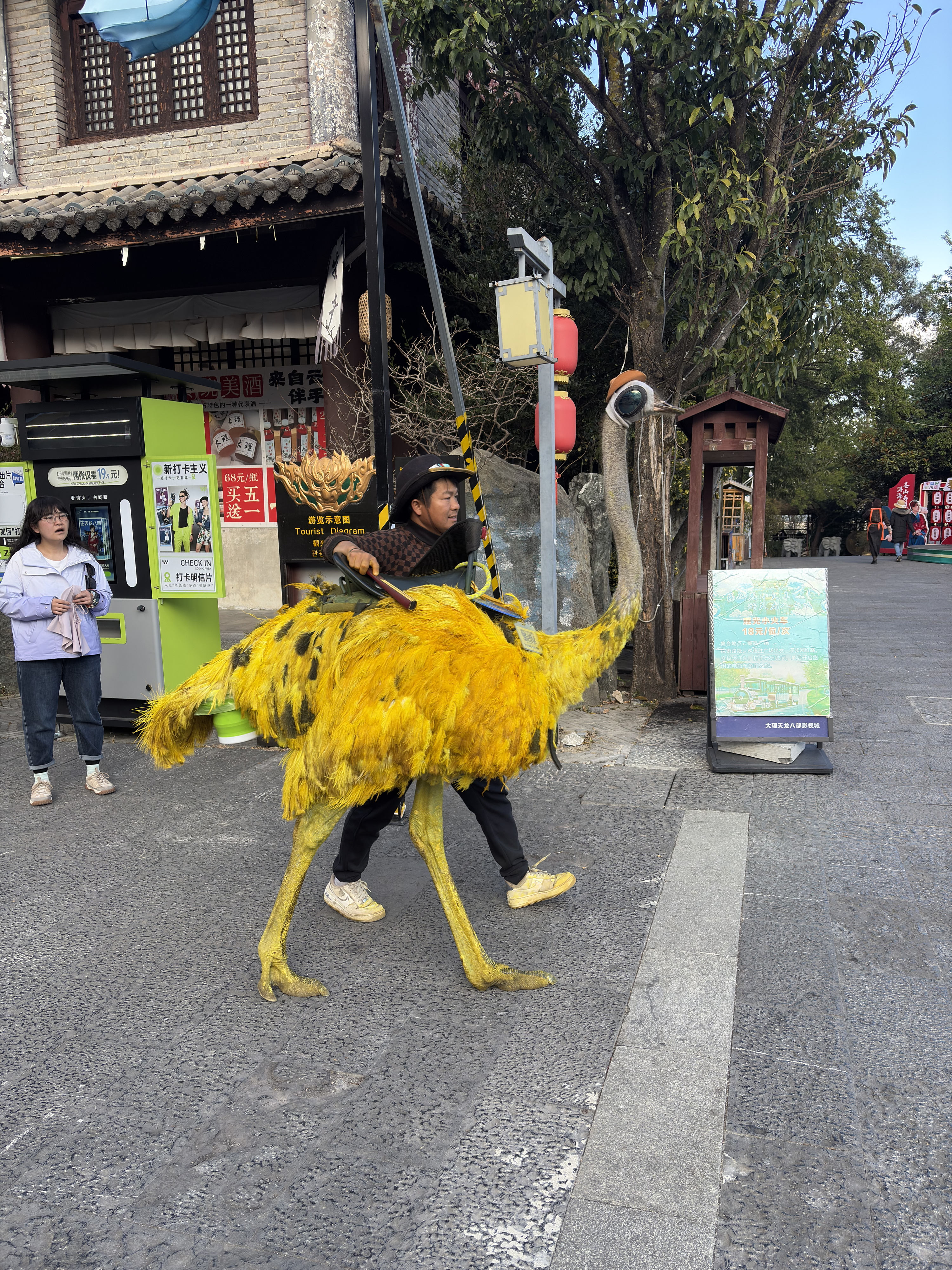 Picture China Dali Mountain 2026-01 7 - Recreation Mountain