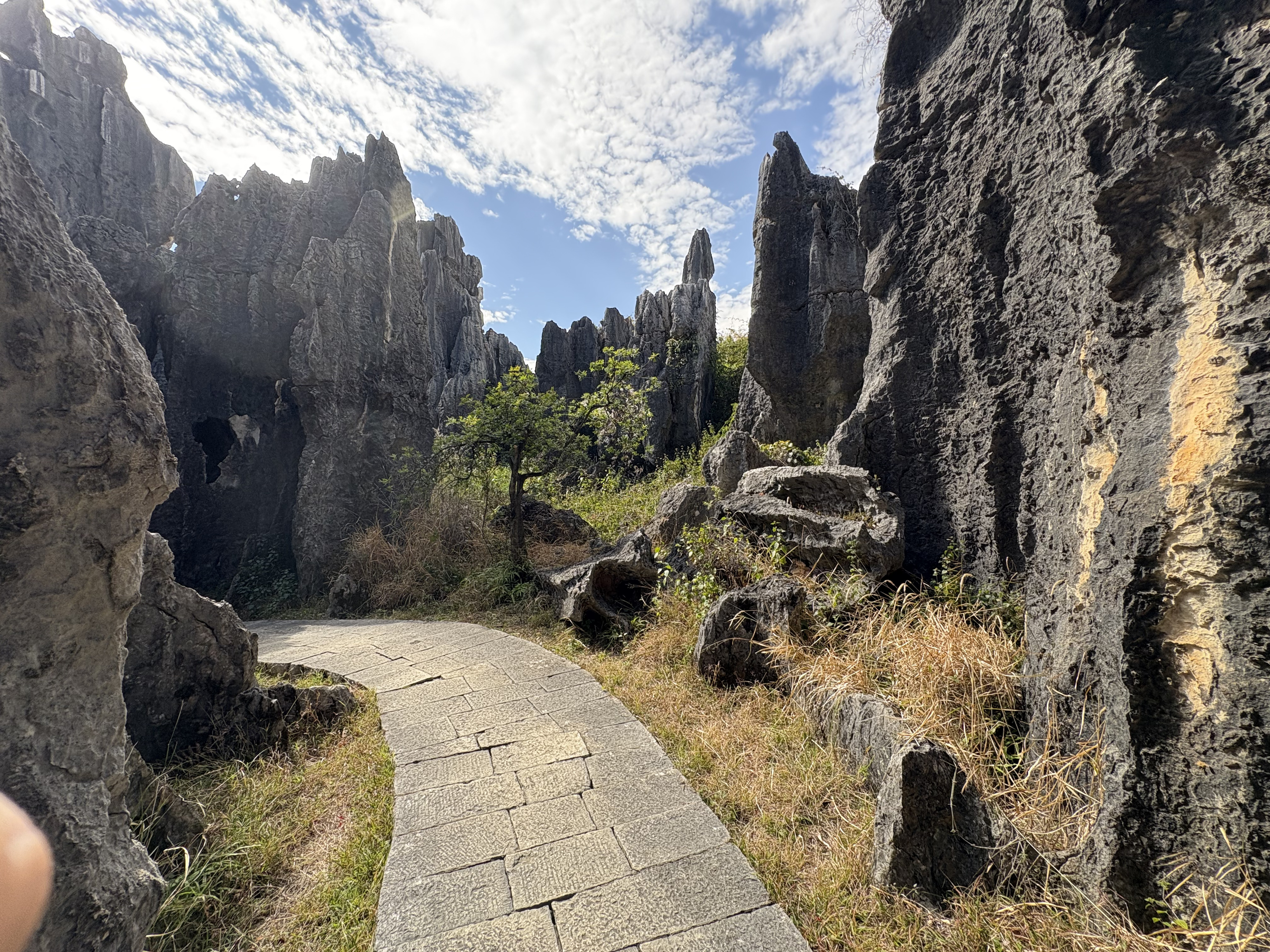 Picture China Shilin Stone Forest 2026-01 29 - Journey Shilin Stone Forest