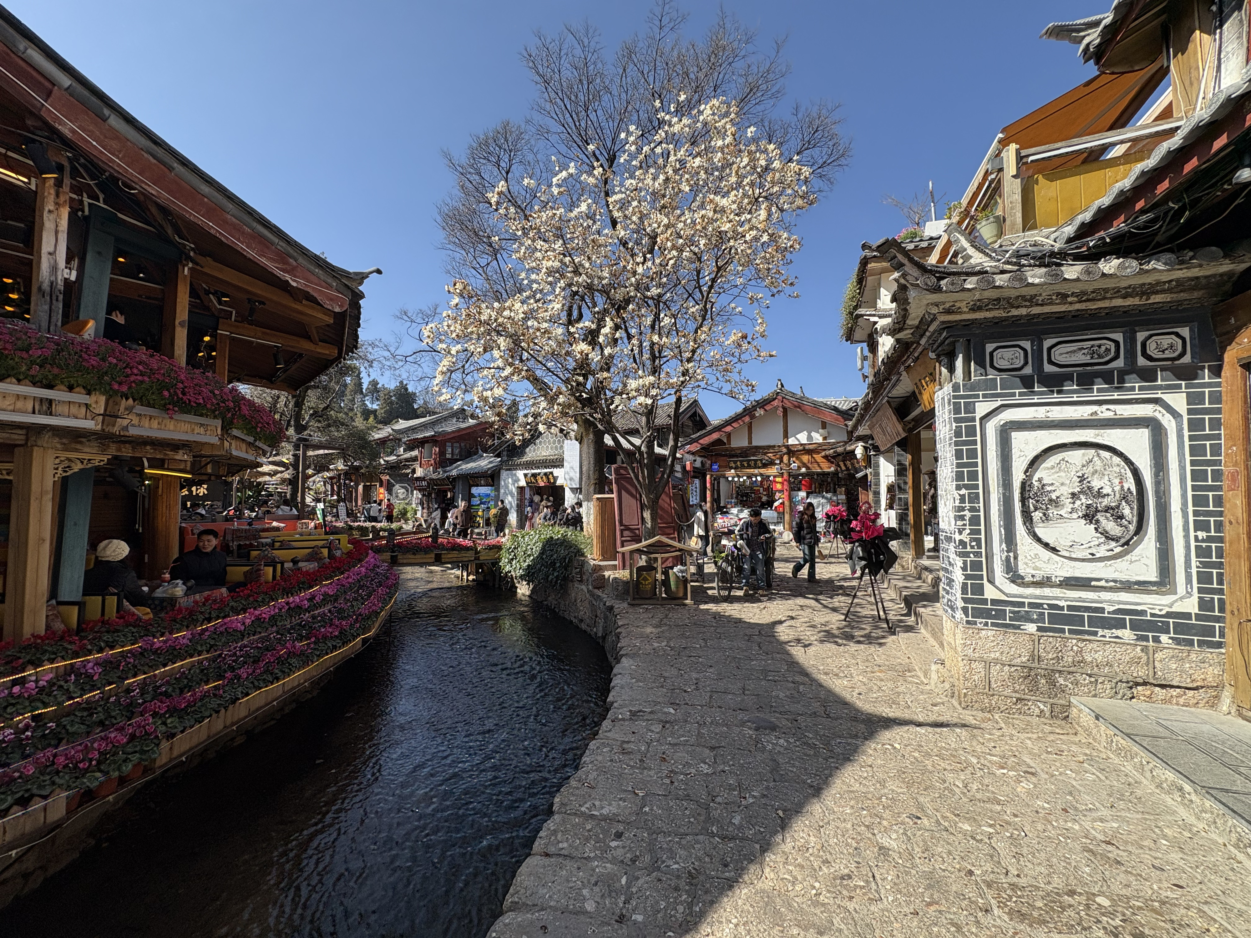 Picture China Lijiang 2026-01 358 - History Lijiang