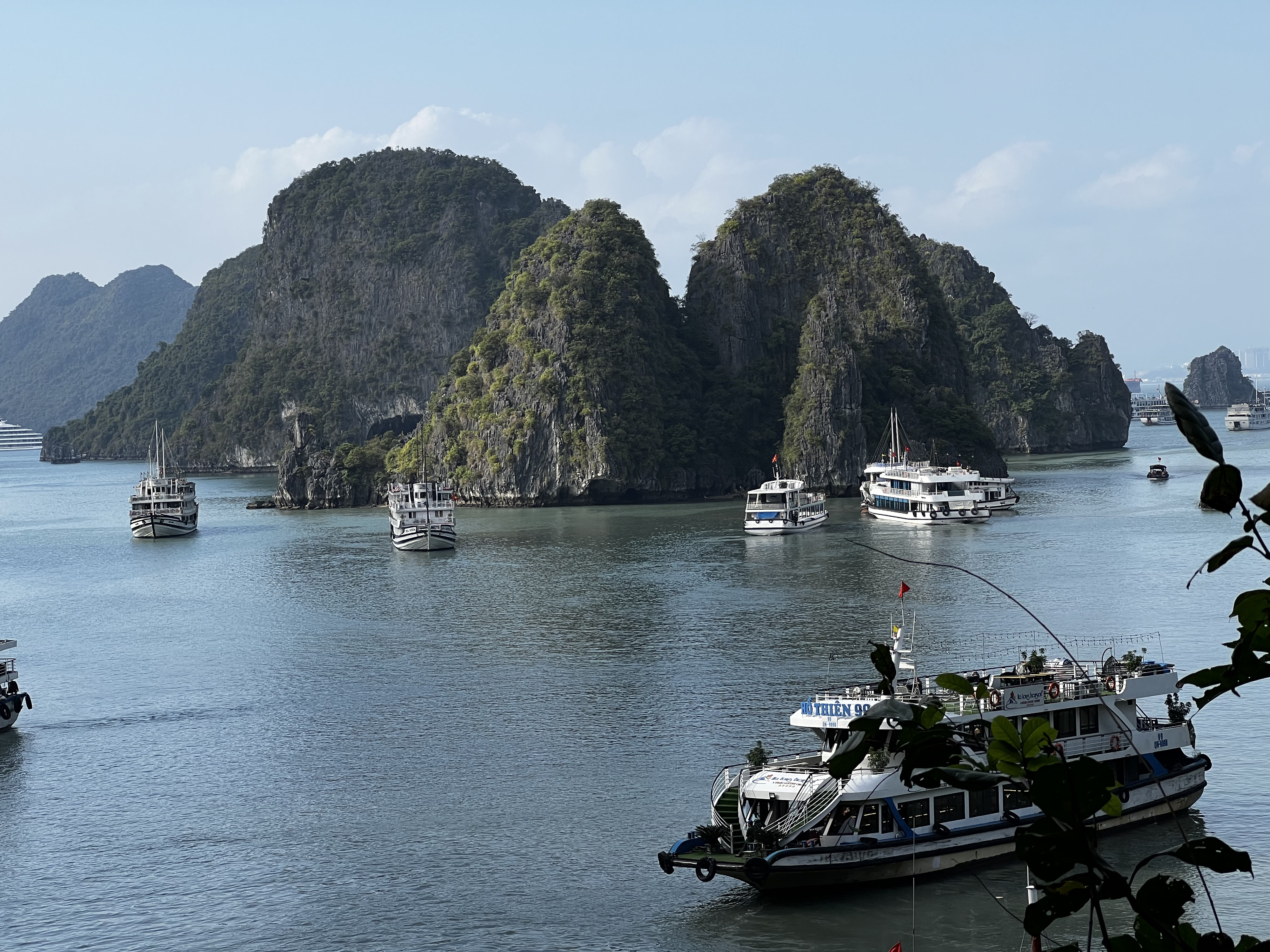 Picture Vietnam Ha Long Bay 2024-01 164 - Discovery Ha Long Bay