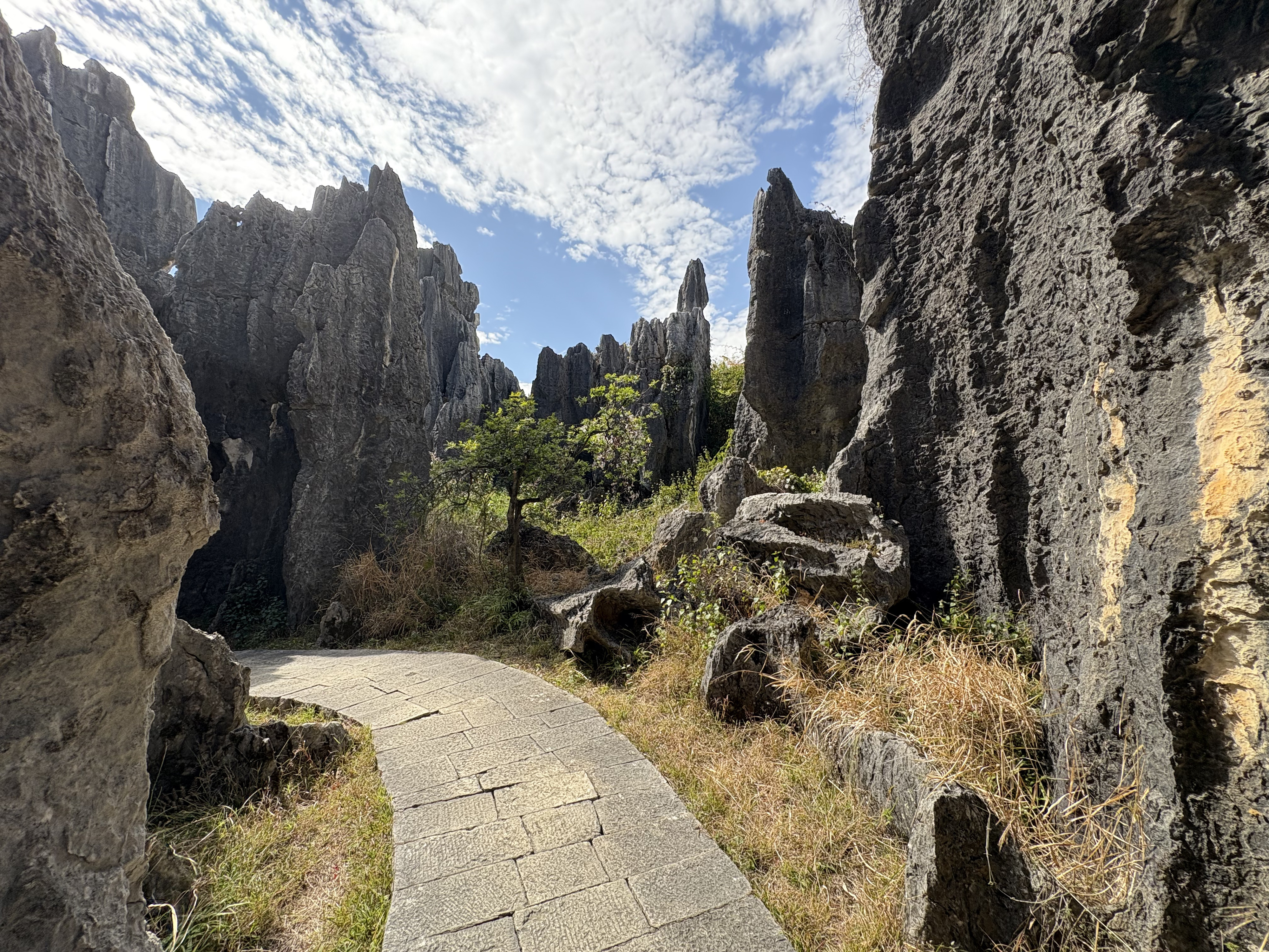 Picture China Shilin Stone Forest 2026-01 64 - Tours Shilin Stone Forest