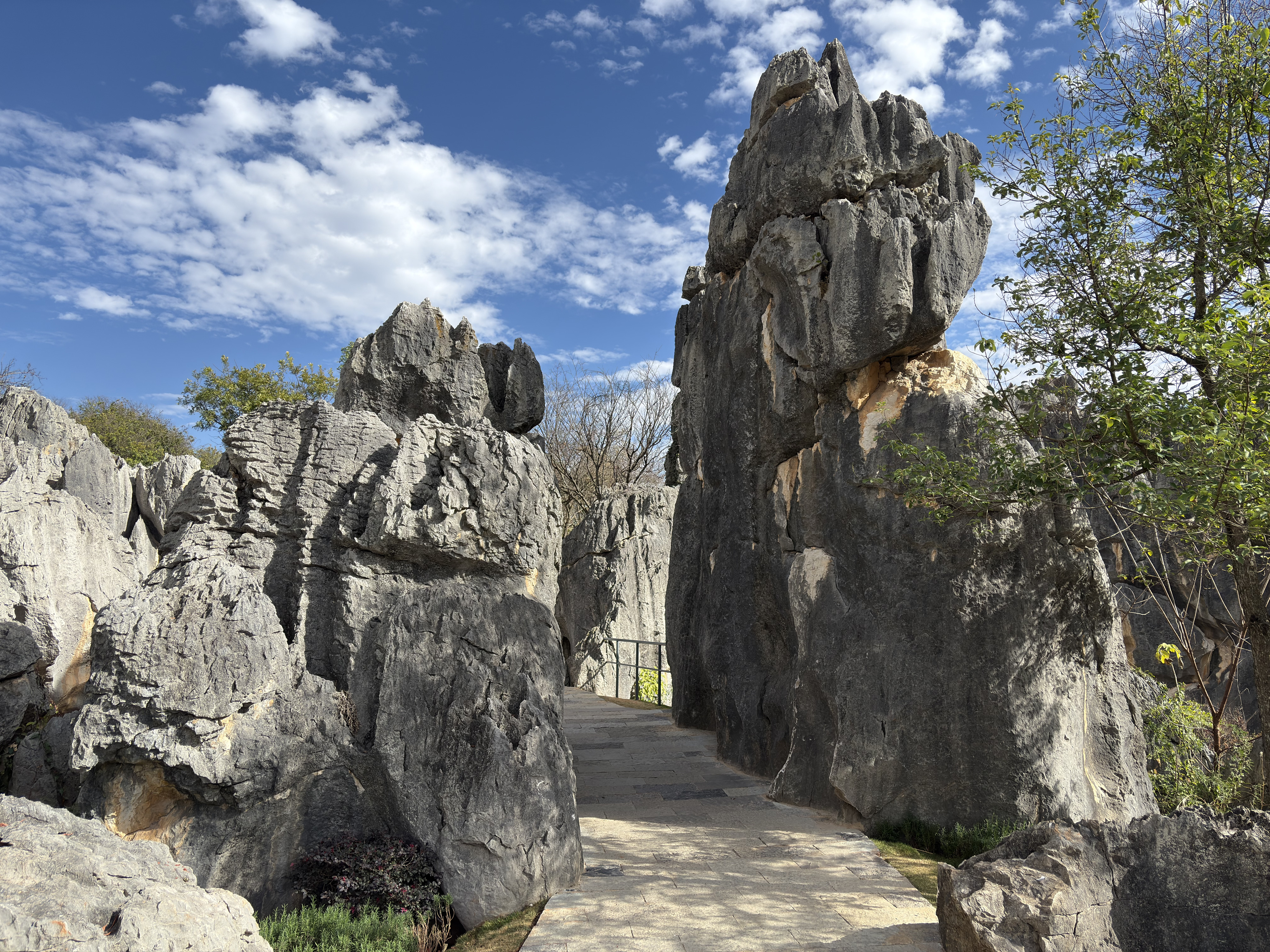Picture China Shilin Stone Forest 2026-01 231 - Tour Shilin Stone Forest