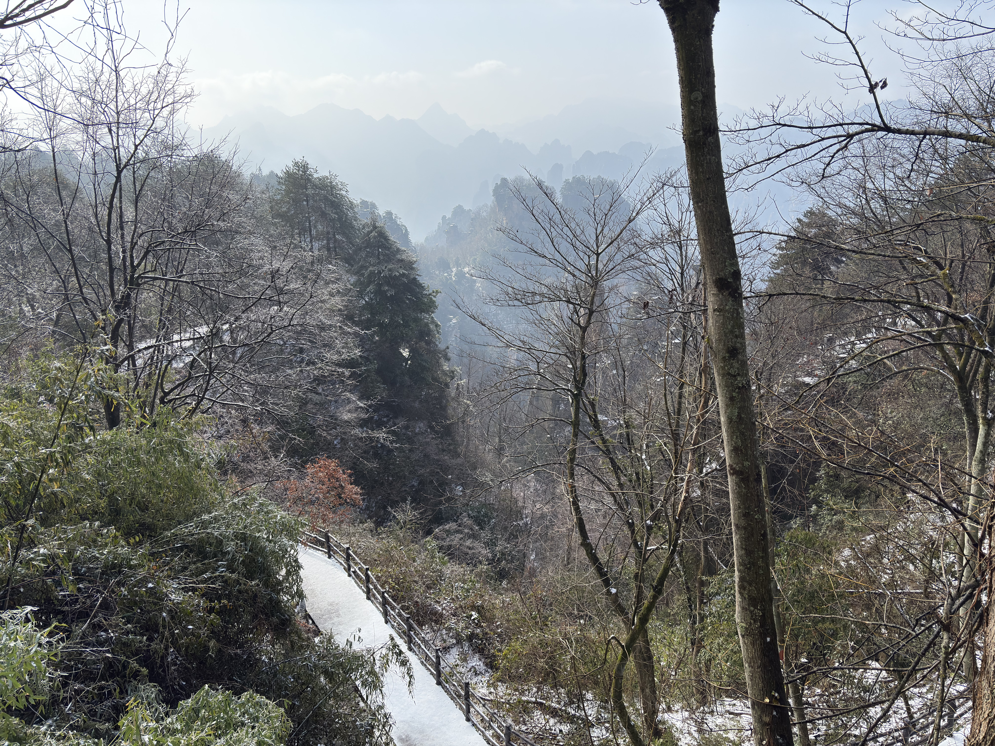 Picture China Zhangjiajie Tianzi Mountrain 2026-01 320 - Center Tianzi Mountrain