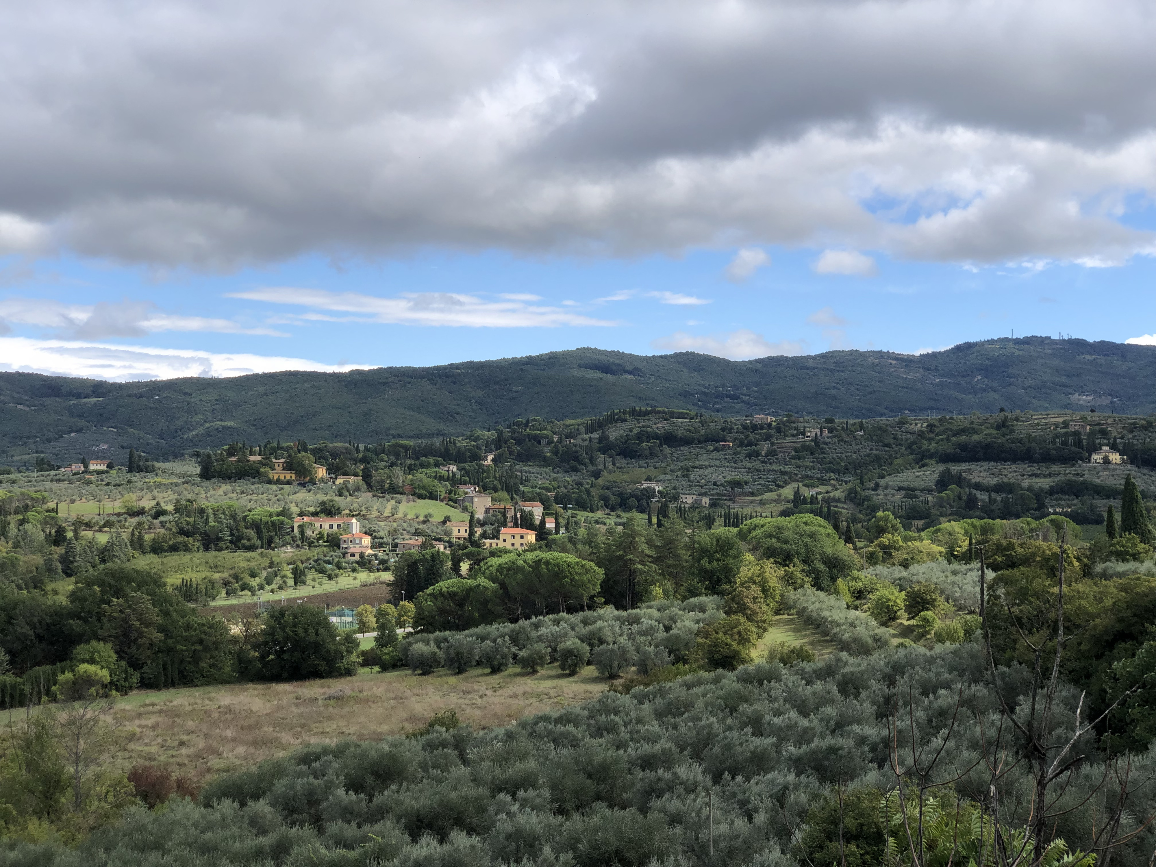 Picture Italy Arezzo 2024-09 118 - Tours Arezzo