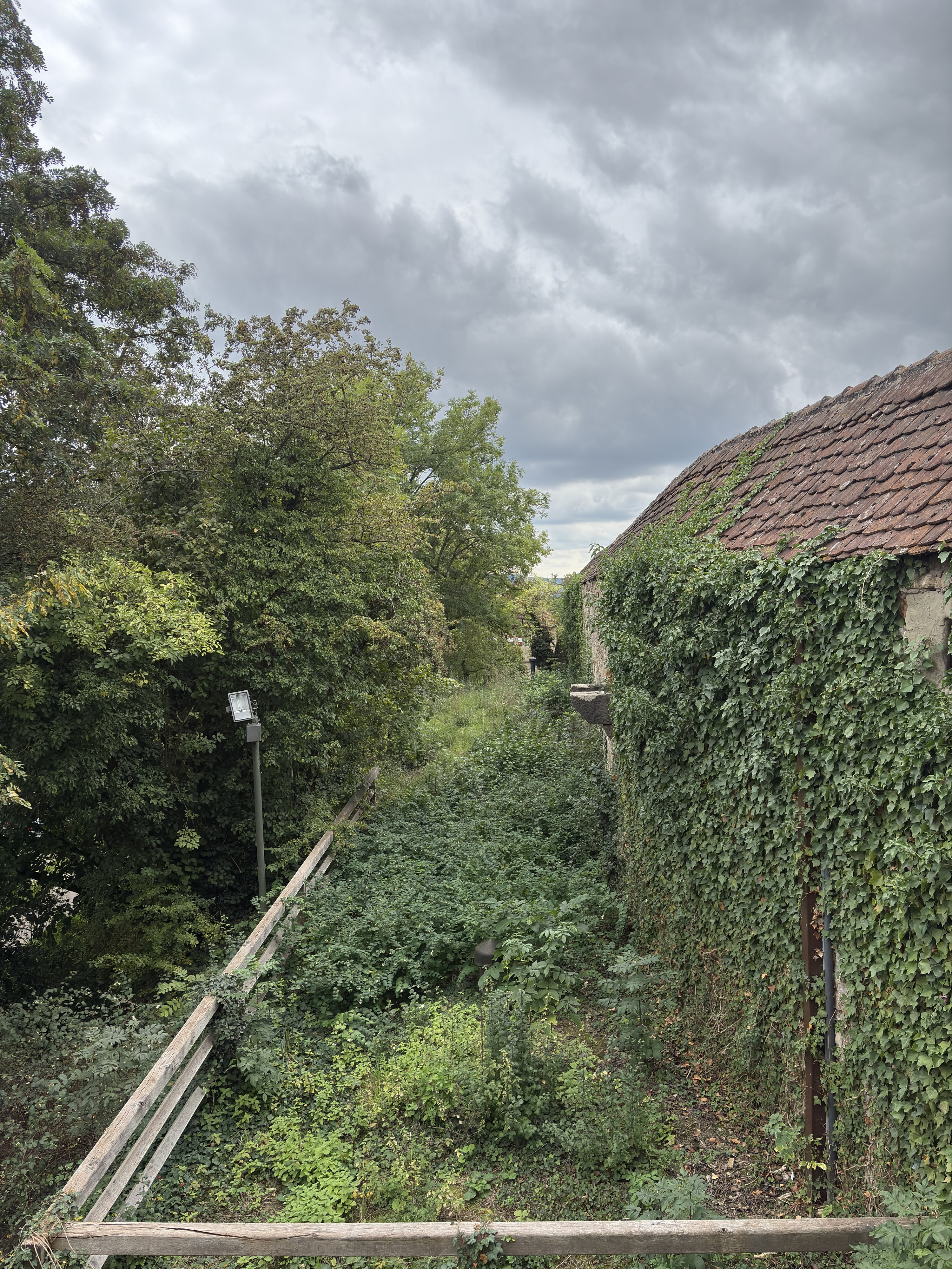 Picture Germany Rothenburg ob der Tauber⁩ 2025-09 218 - Around Rothenburg ob der Tauber⁩