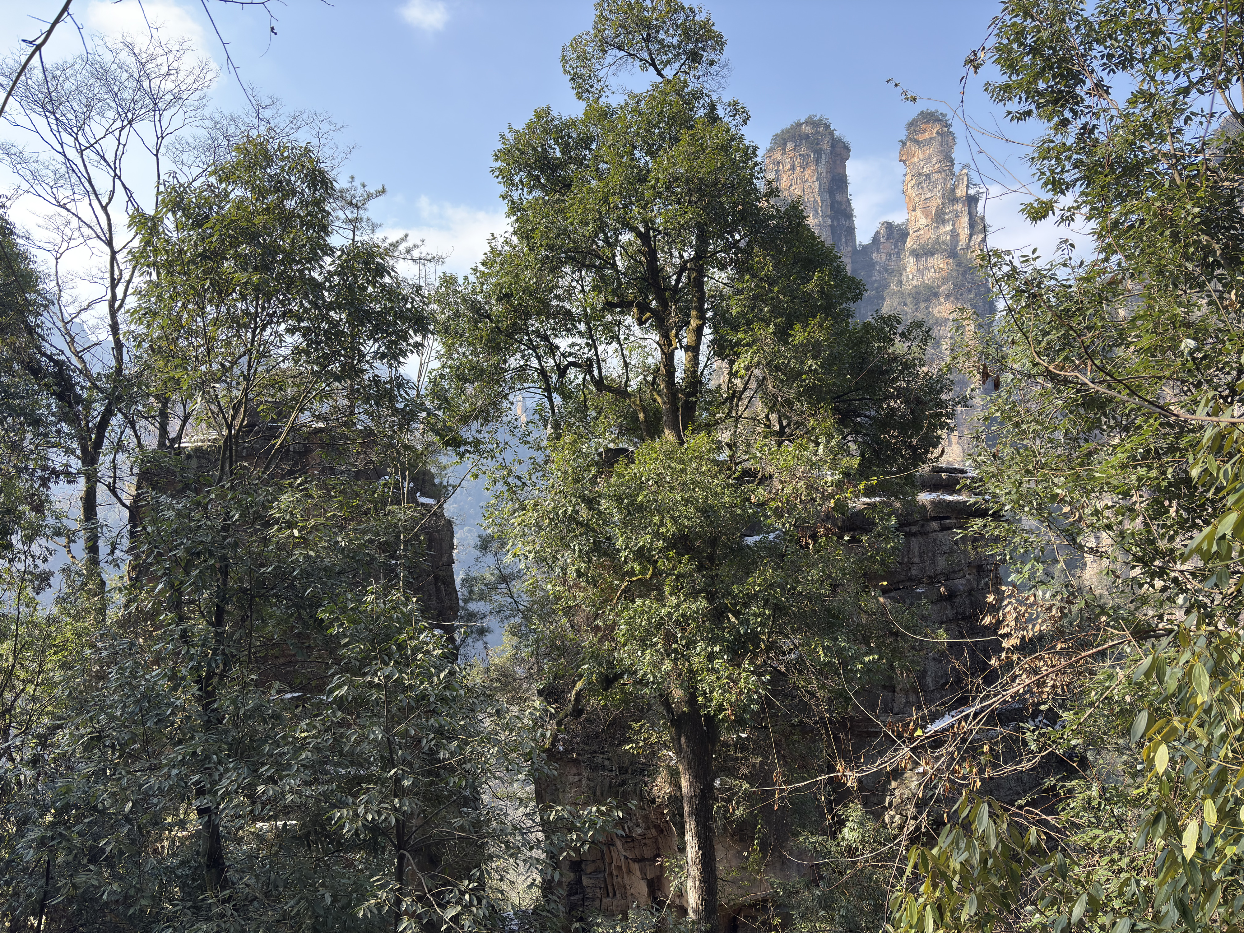 Picture China Zhangjiajie Tianzi Mountrain 2026-01 120 - Tours Tianzi Mountrain