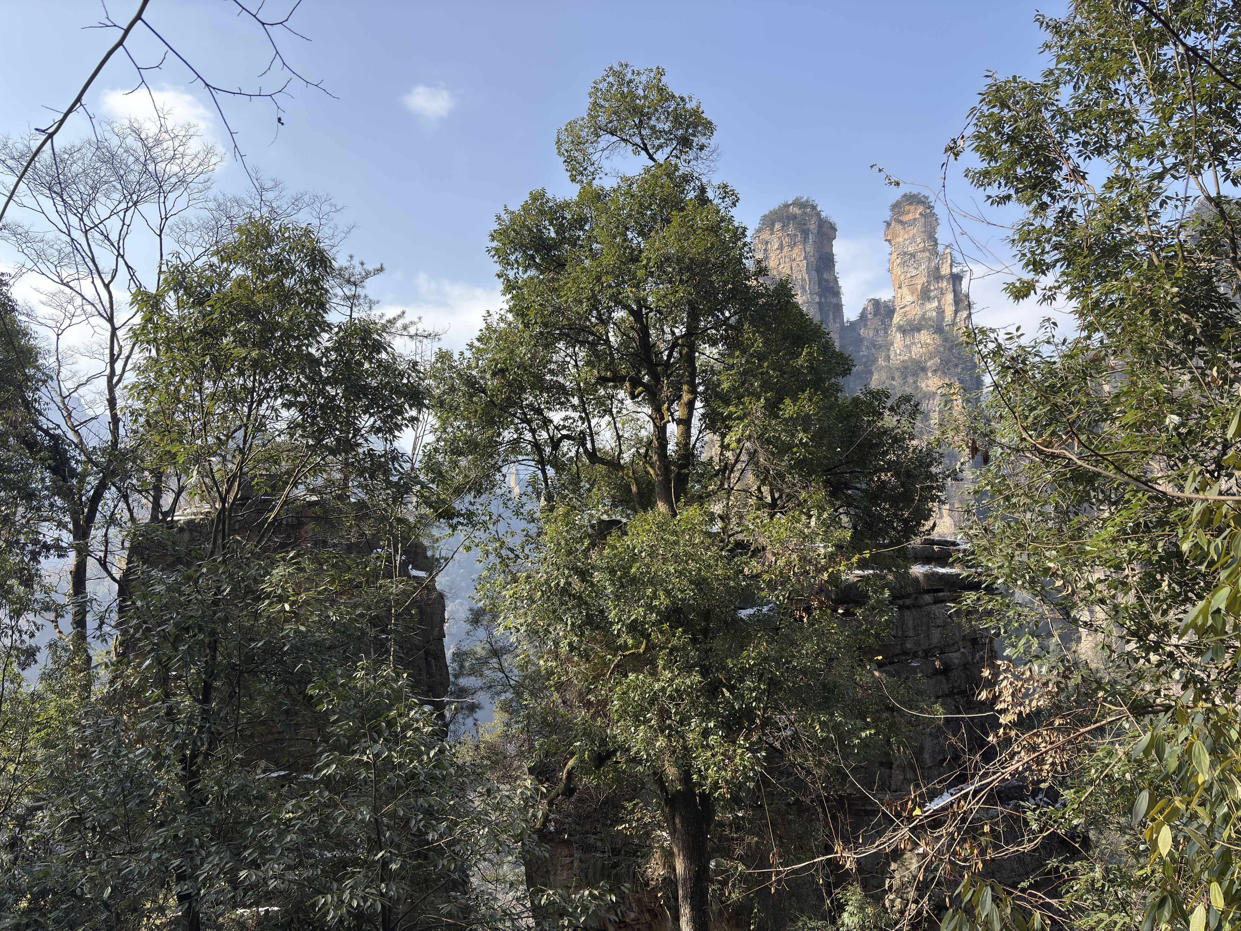 Picture China Zhangjiajie Tianzi Mountrain 2026-01 214 - History Tianzi Mountrain
