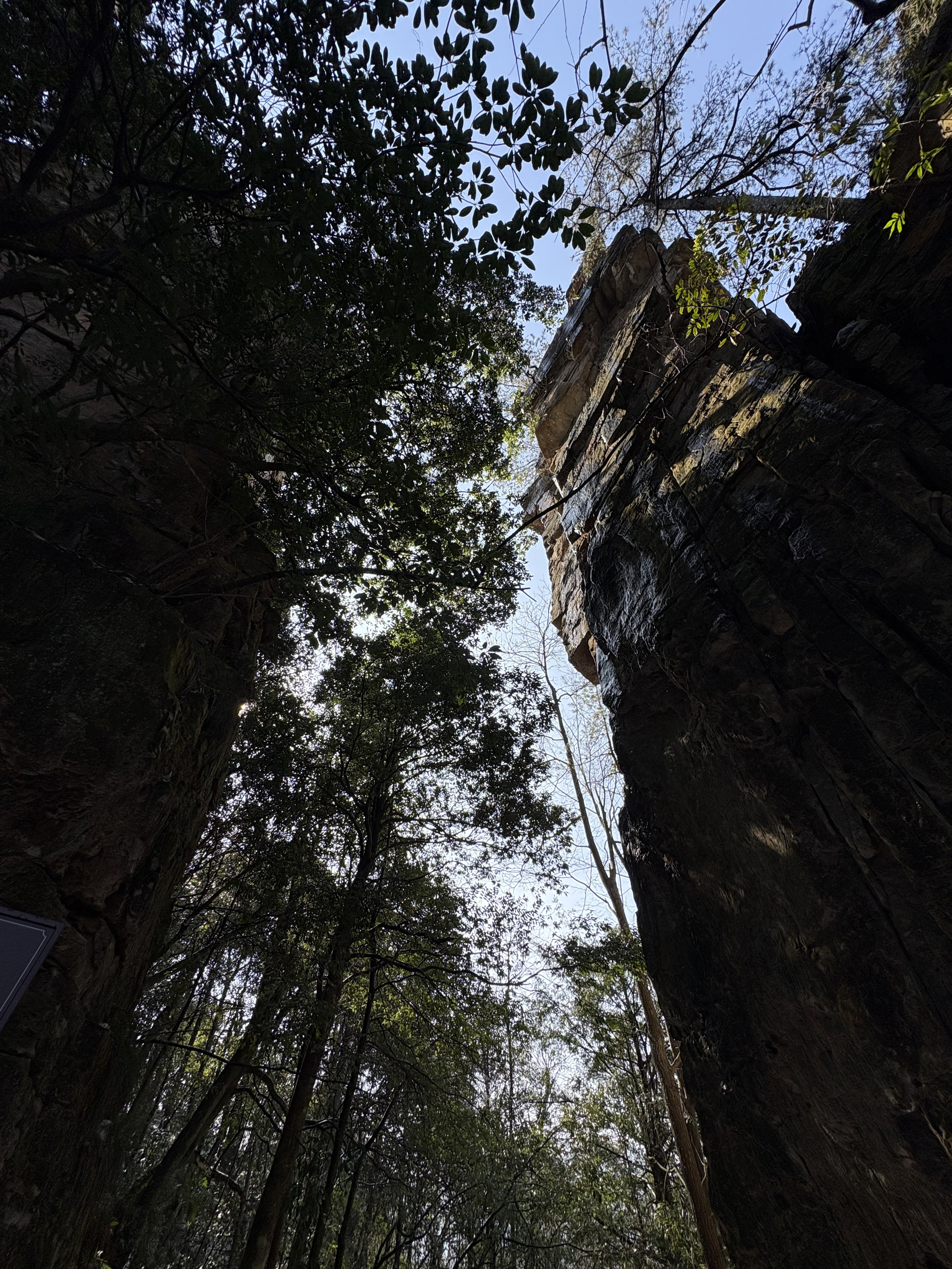 Picture China Zhangjiajie Tianzi Mountrain 2026-01 428 - Discovery Tianzi Mountrain