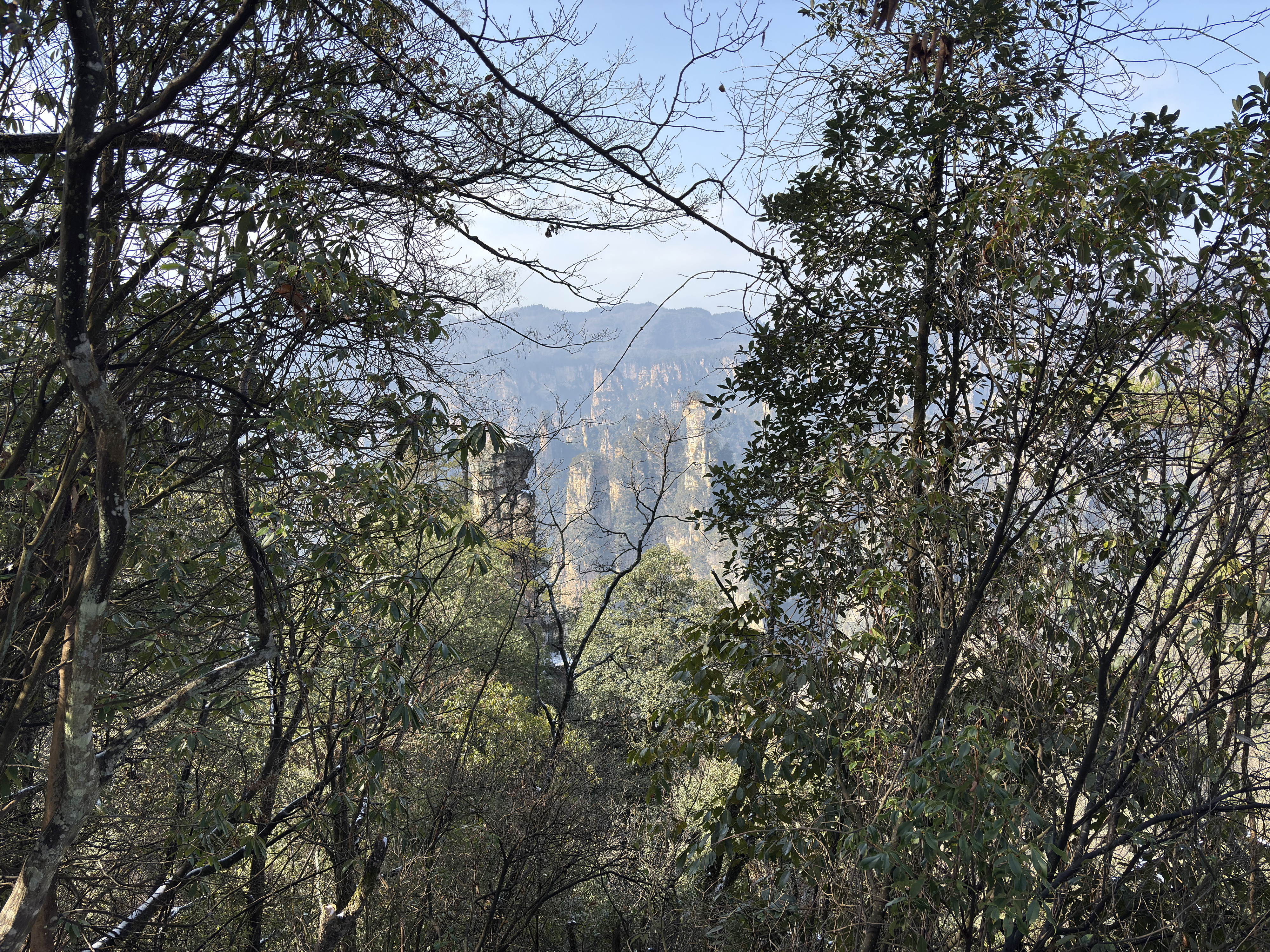 Picture China Zhangjiajie Tianzi Mountrain 2026-01 328 - Tours Tianzi Mountrain