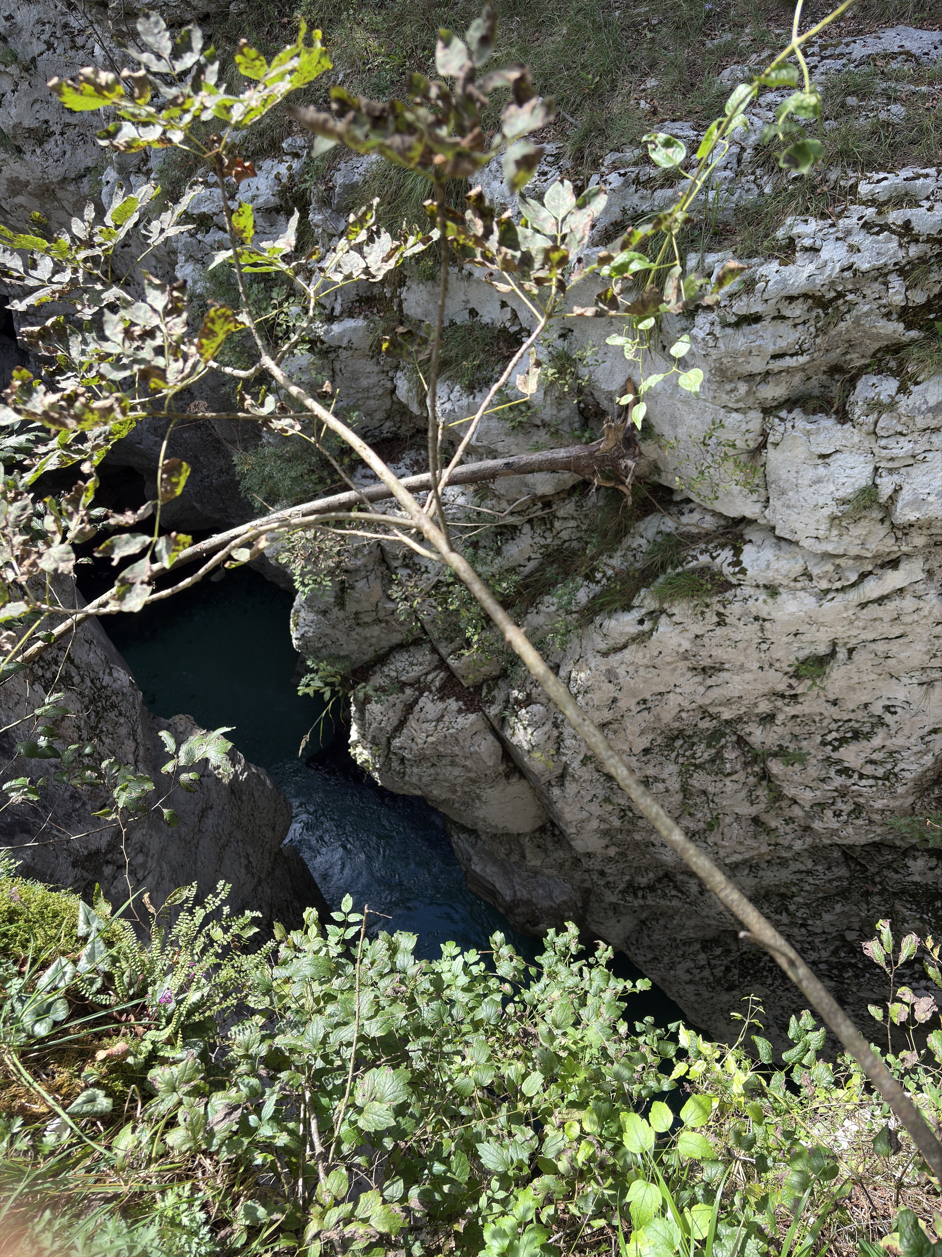 Picture Slovenia Soca River 2025-09 167 - Tour Soca River