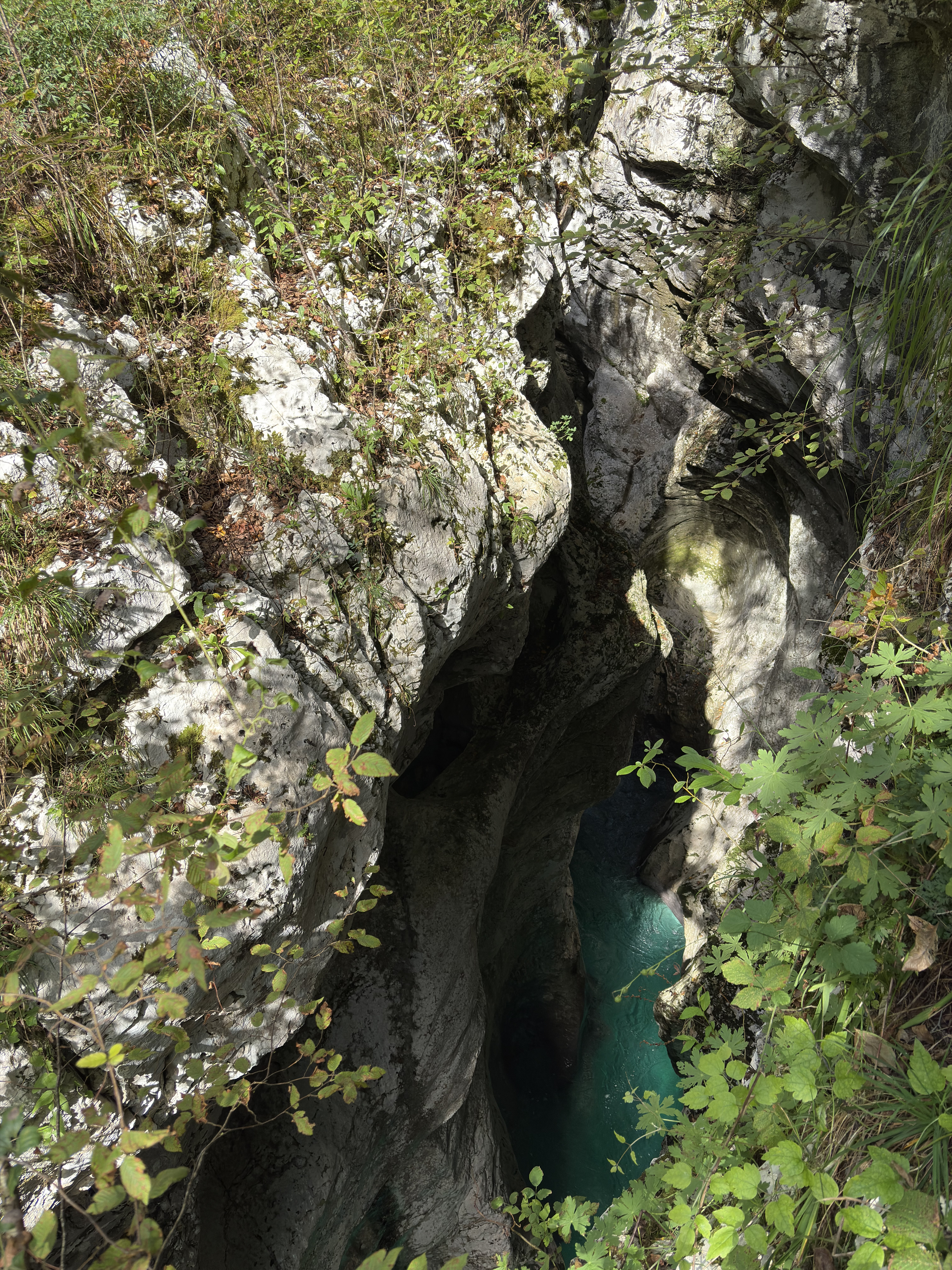 Picture Slovenia Soca River 2025-09 158 - Tours Soca River