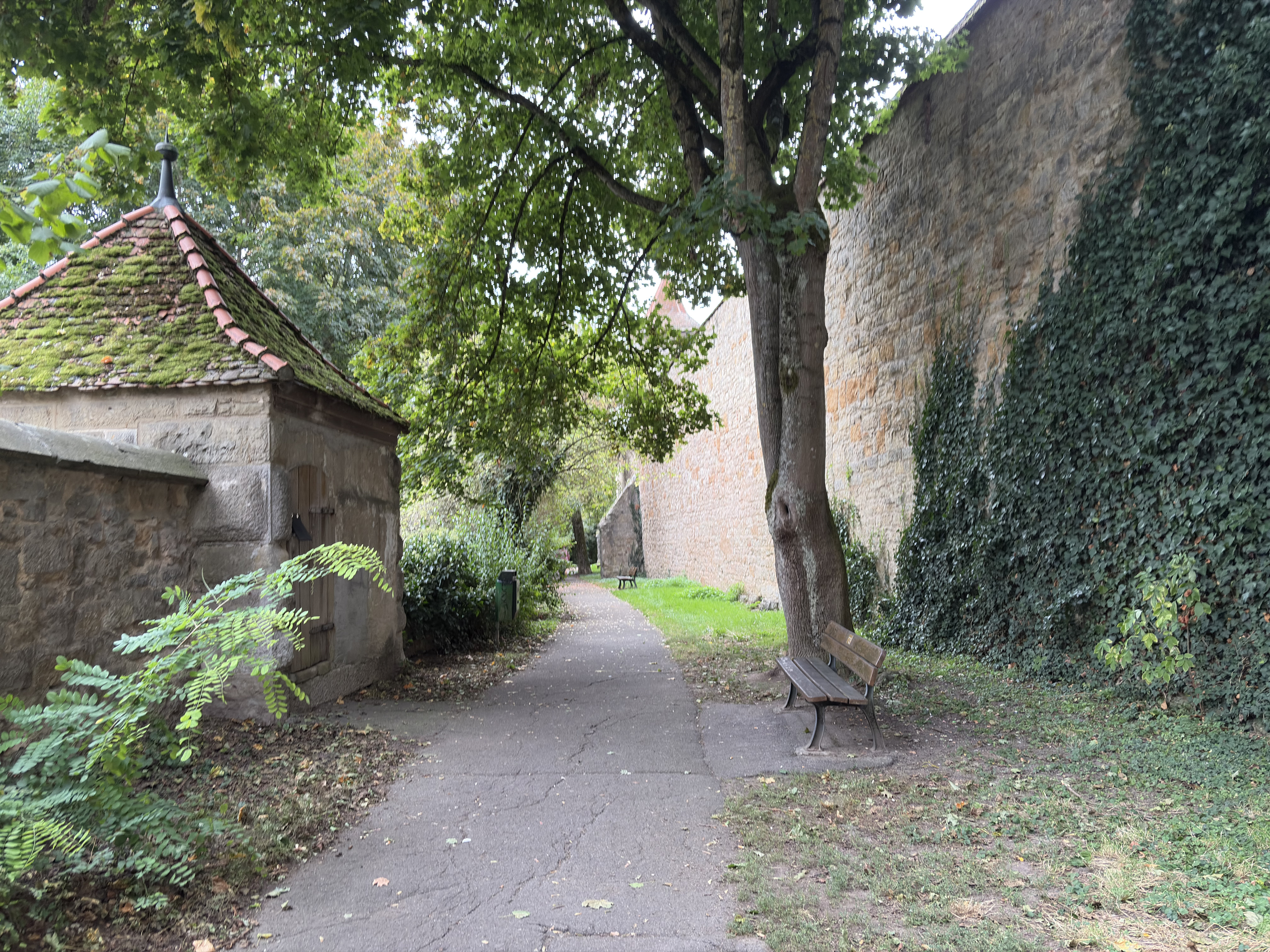 Picture Germany Rothenburg ob der Tauber⁩ 2025-09 85 - Journey Rothenburg ob der Tauber⁩