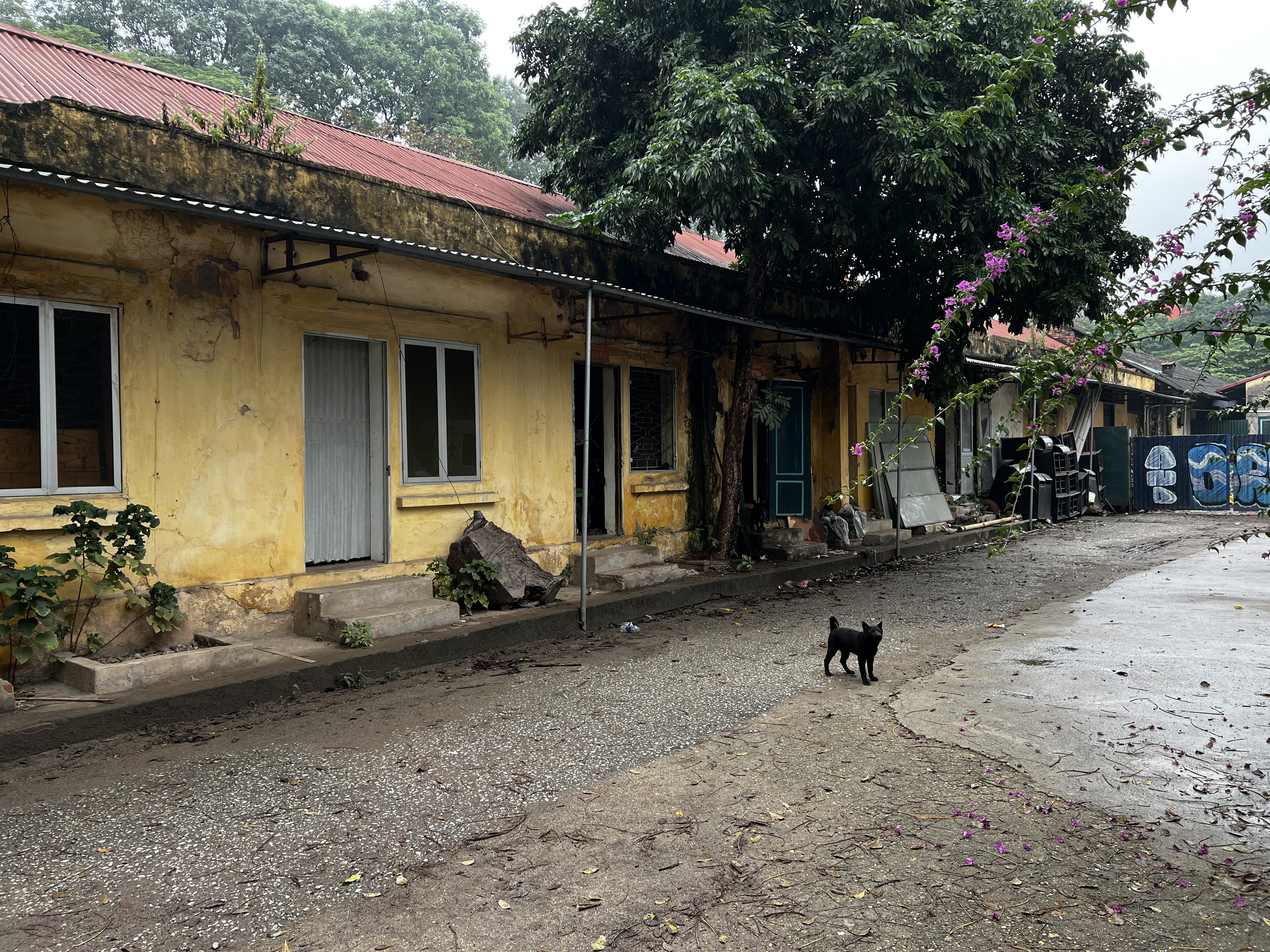 Picture Vietnam Hanoi Thang Long Citadel 2024-01 33 - Recreation Thang Long Citadel
