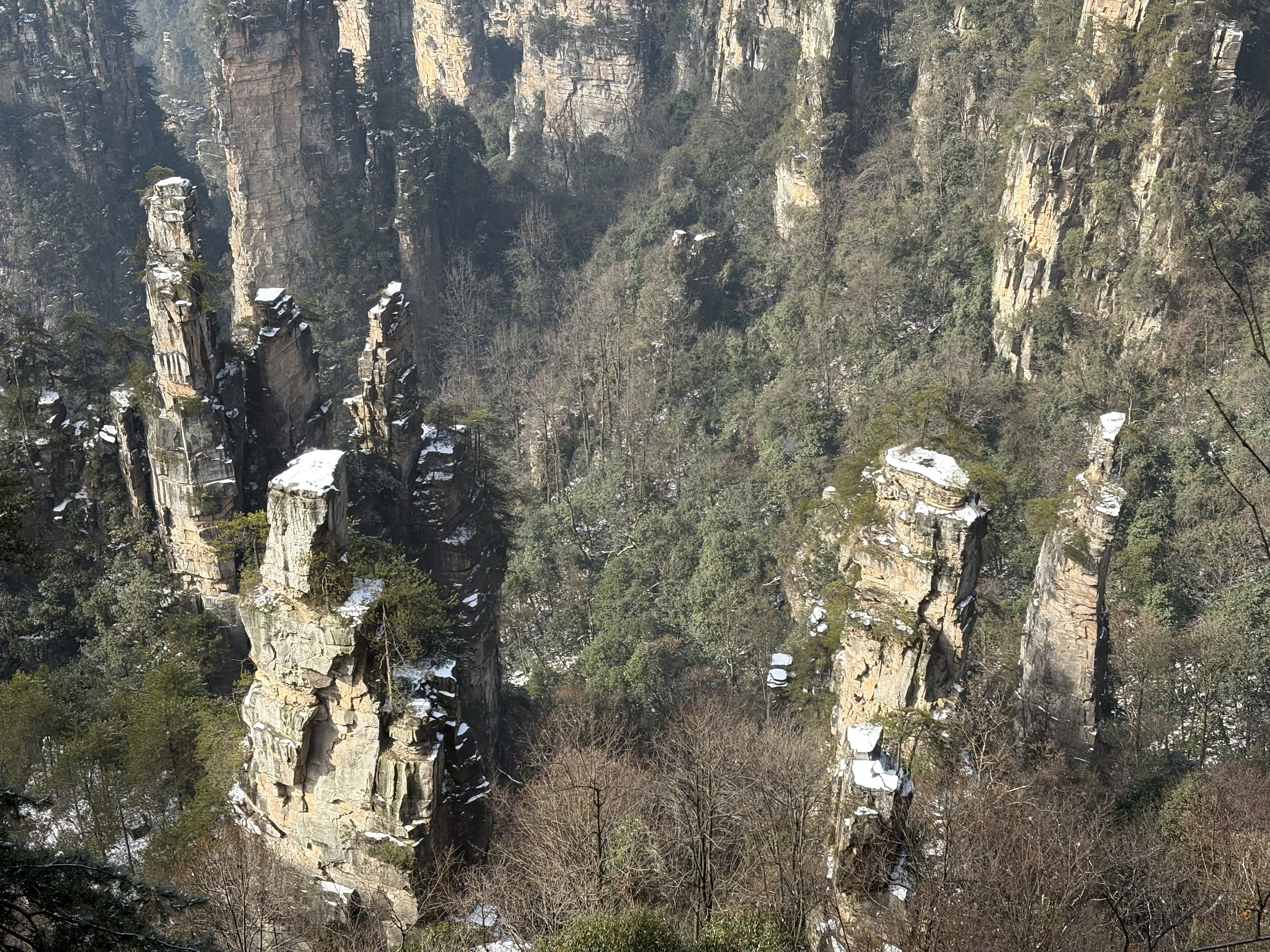 Picture China Zhangjiajie Tianzi Mountrain 2026-01 427 - Around Tianzi Mountrain