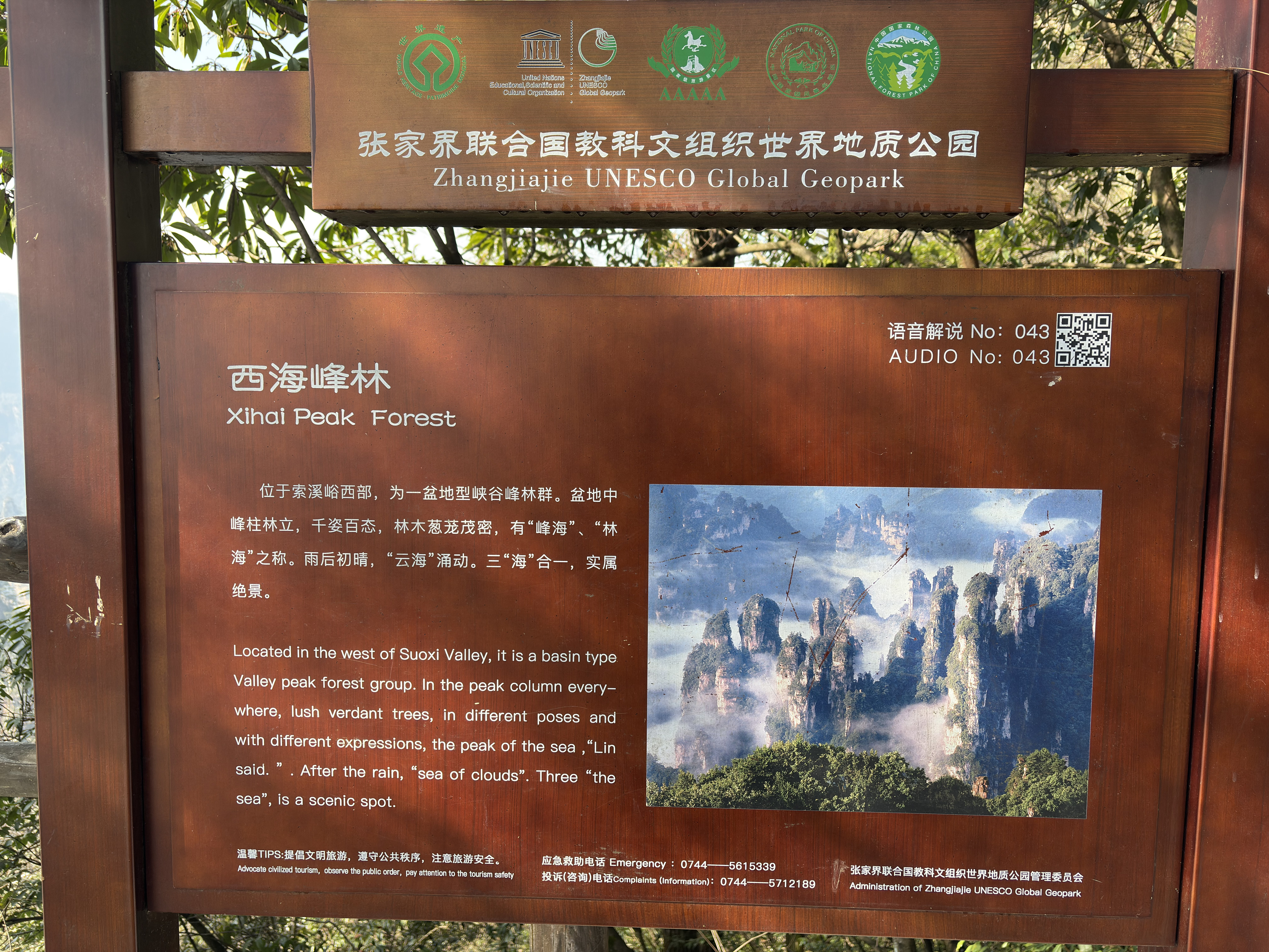 Picture China Zhangjiajie Tianzi Mountrain 2026-01 39 - Tours Tianzi Mountrain