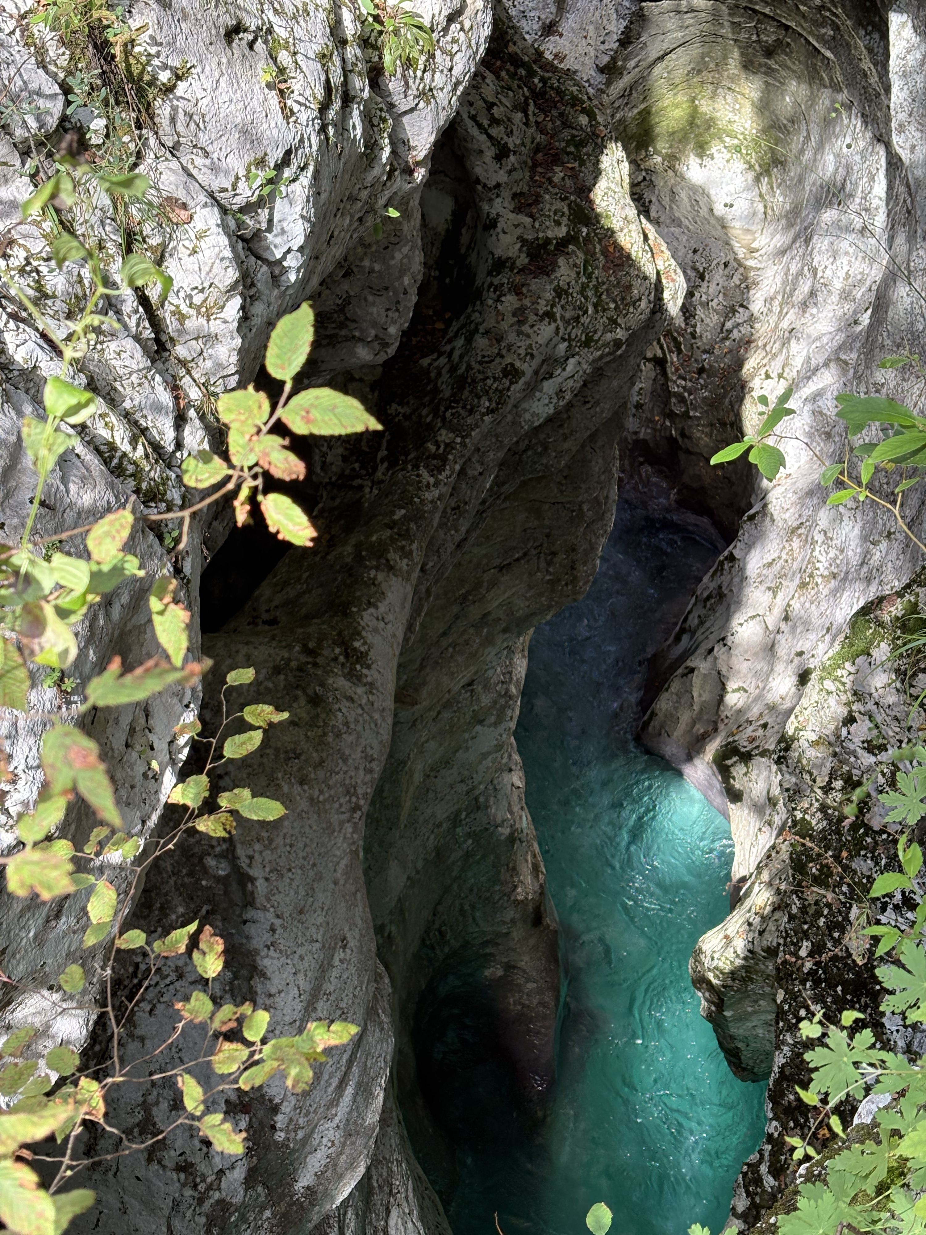 Picture Slovenia Soca River 2025-09 212 - Tours Soca River