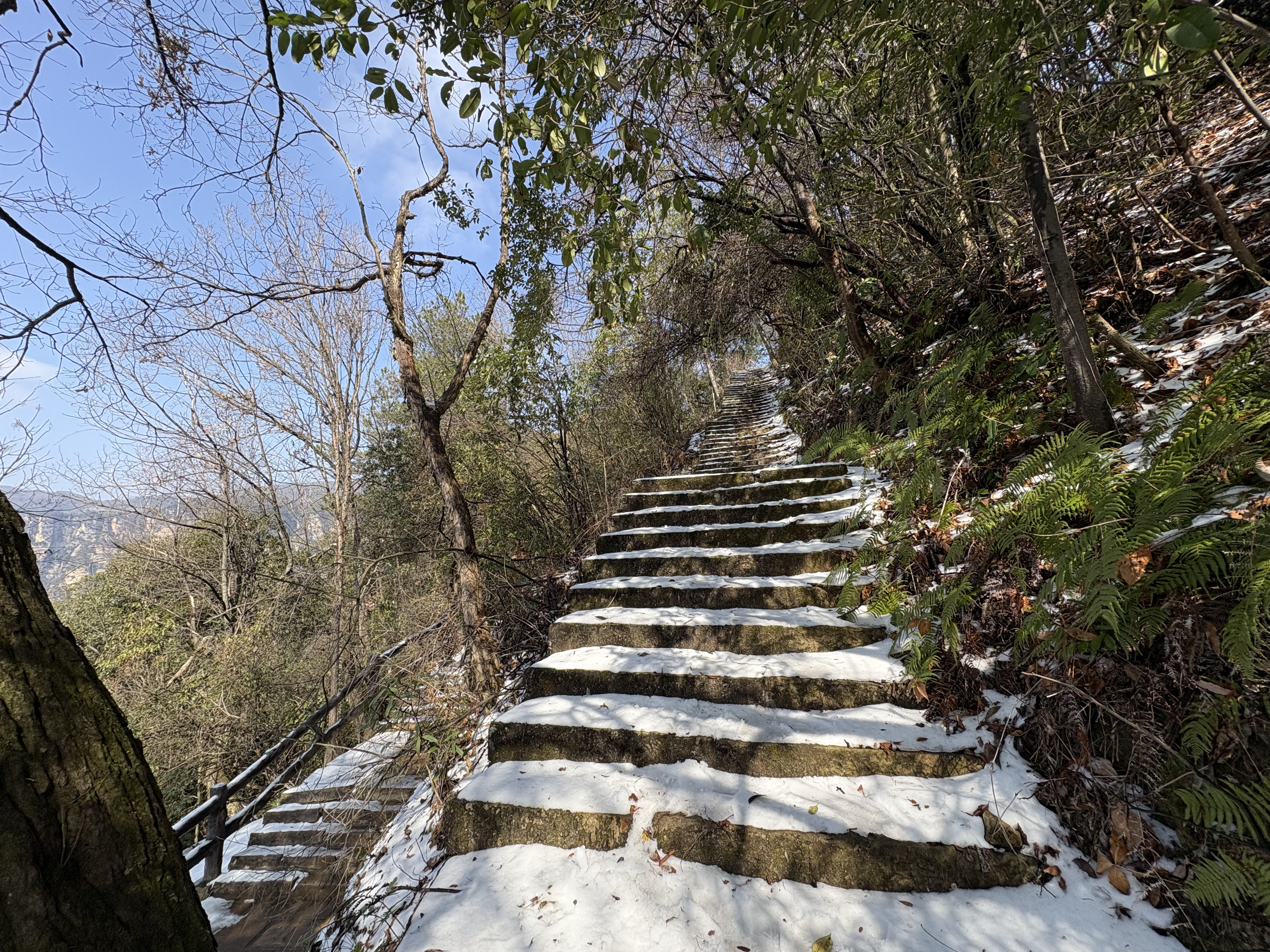 Picture China Zhangjiajie Tianzi Mountrain 2026-01 59 - Recreation Tianzi Mountrain