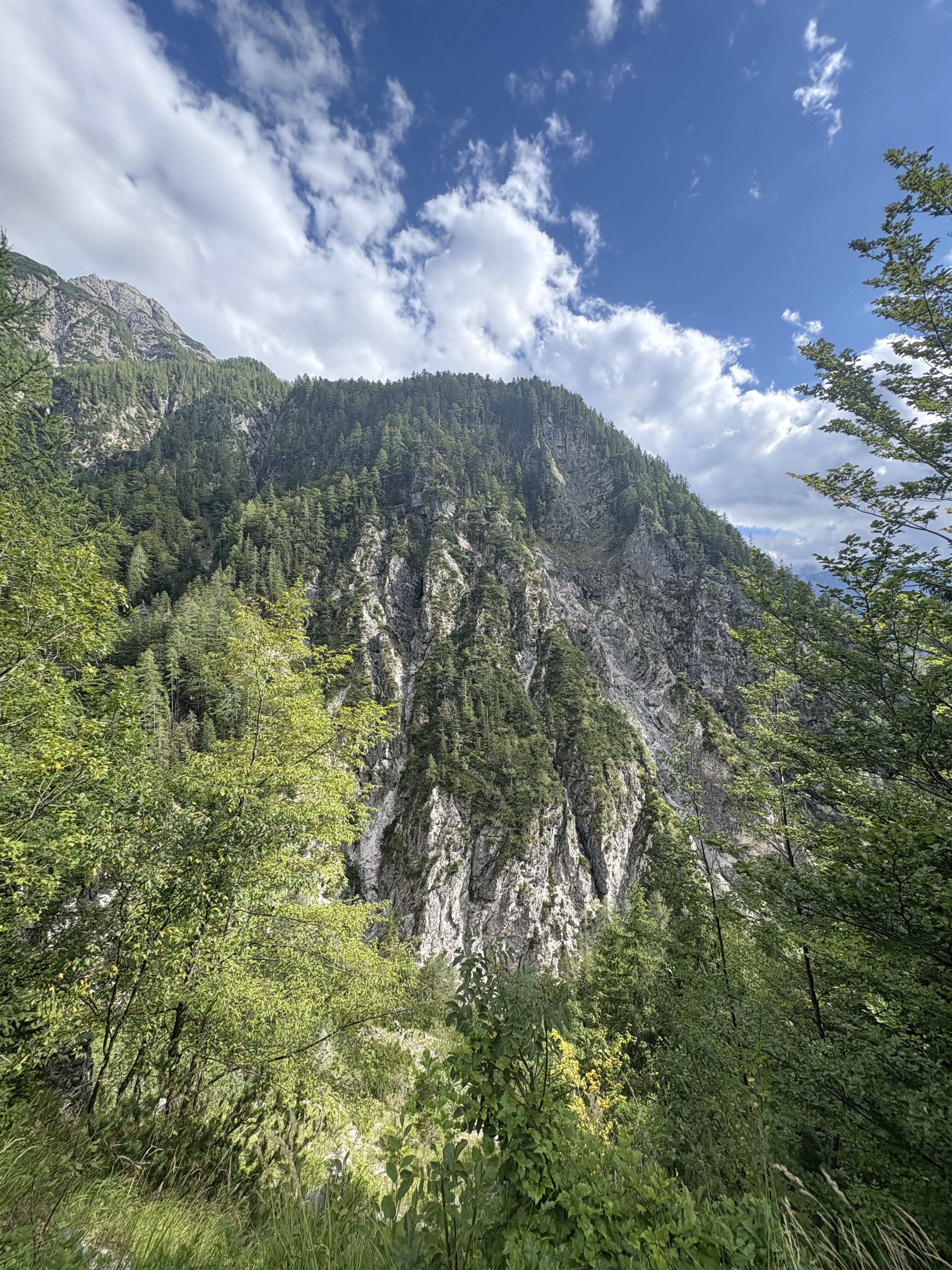 Picture Slovenia Soca River 2025-09 31 - Tours Soca River