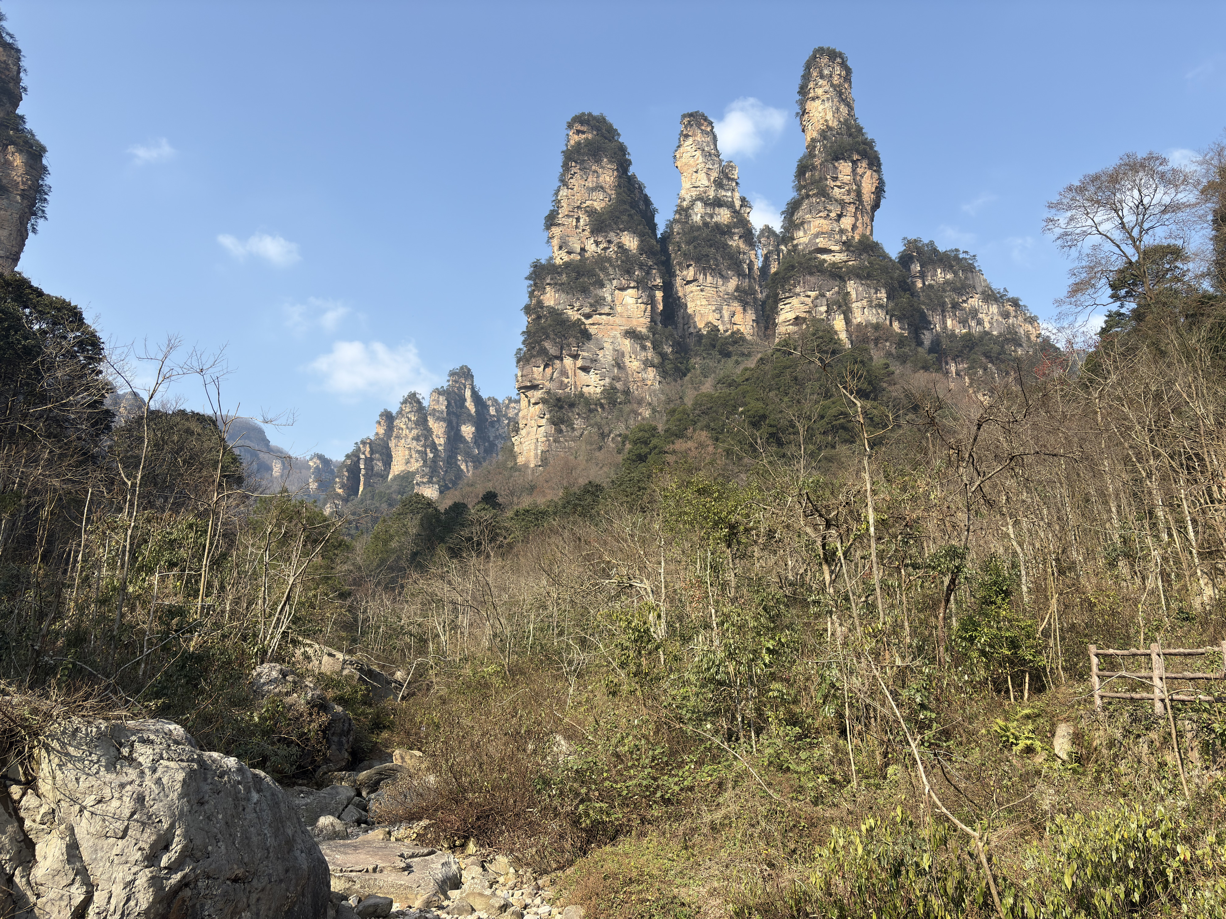 Picture China Zhangjiajie Tianzi Mountrain 2026-01 43 - Journey Tianzi Mountrain