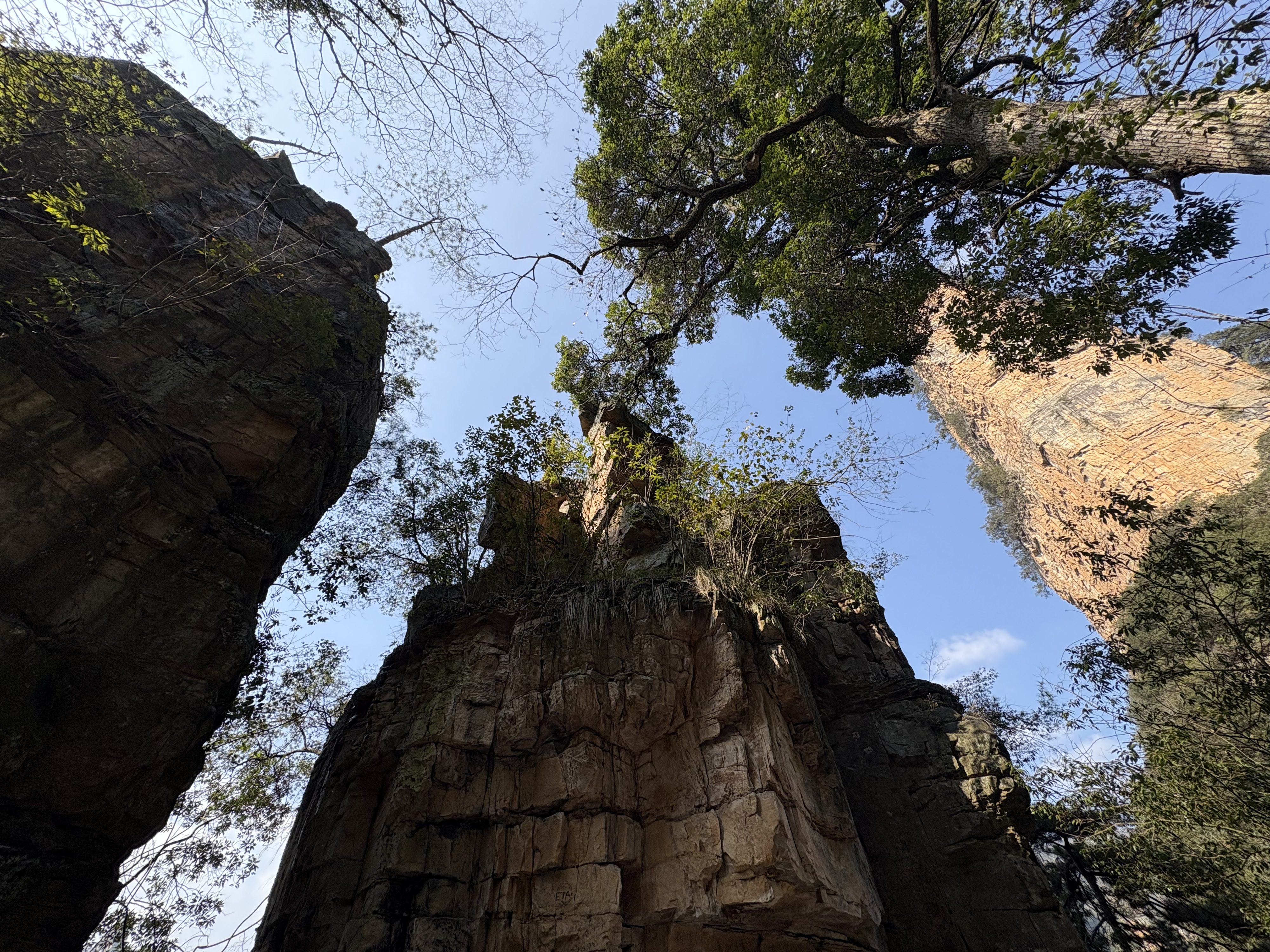 Picture China Zhangjiajie Tianzi Mountrain 2026-01 12 - Journey Tianzi Mountrain