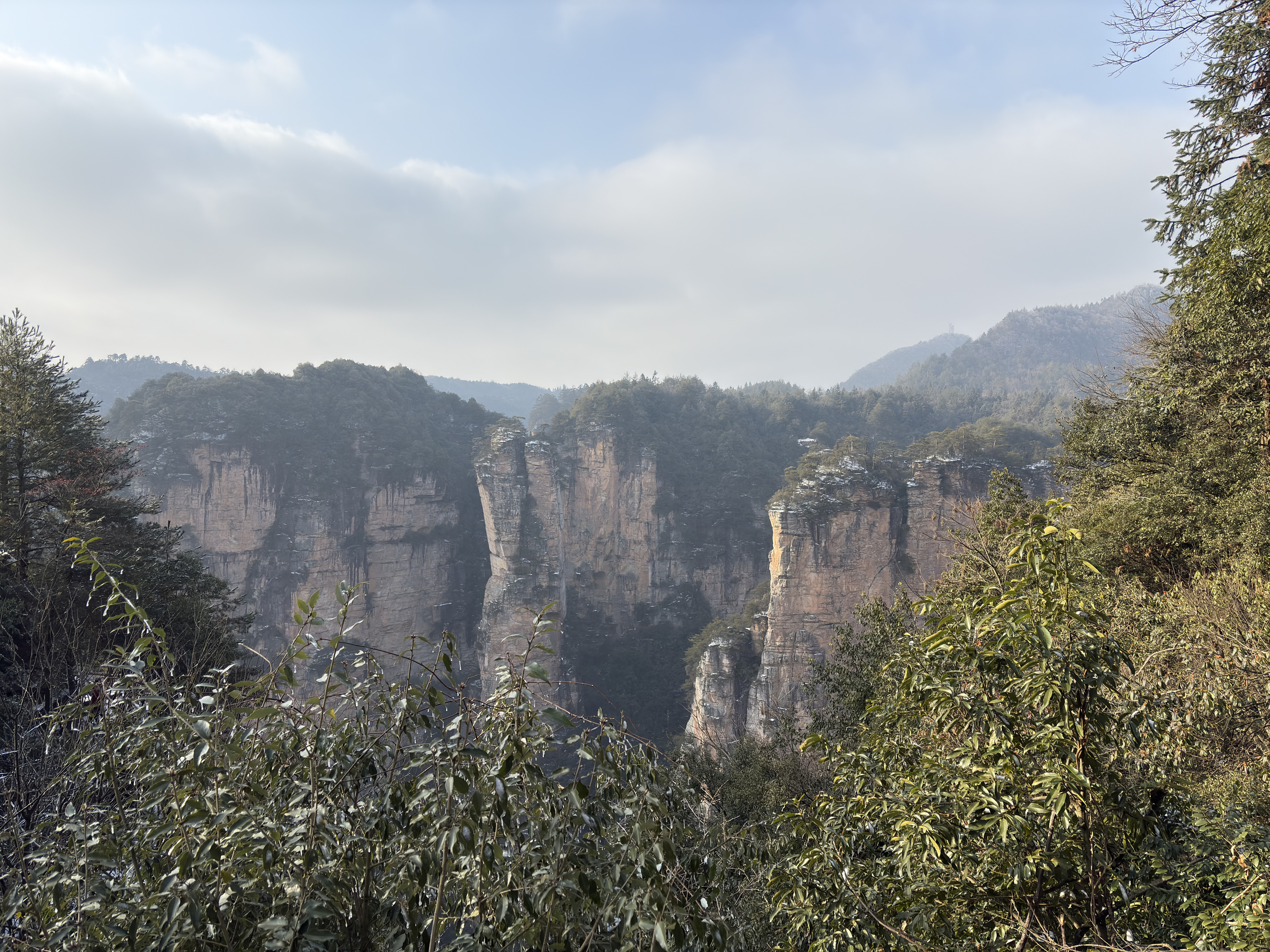 Picture China Zhangjiajie 2026-01 276 - Center Zhangjiajie