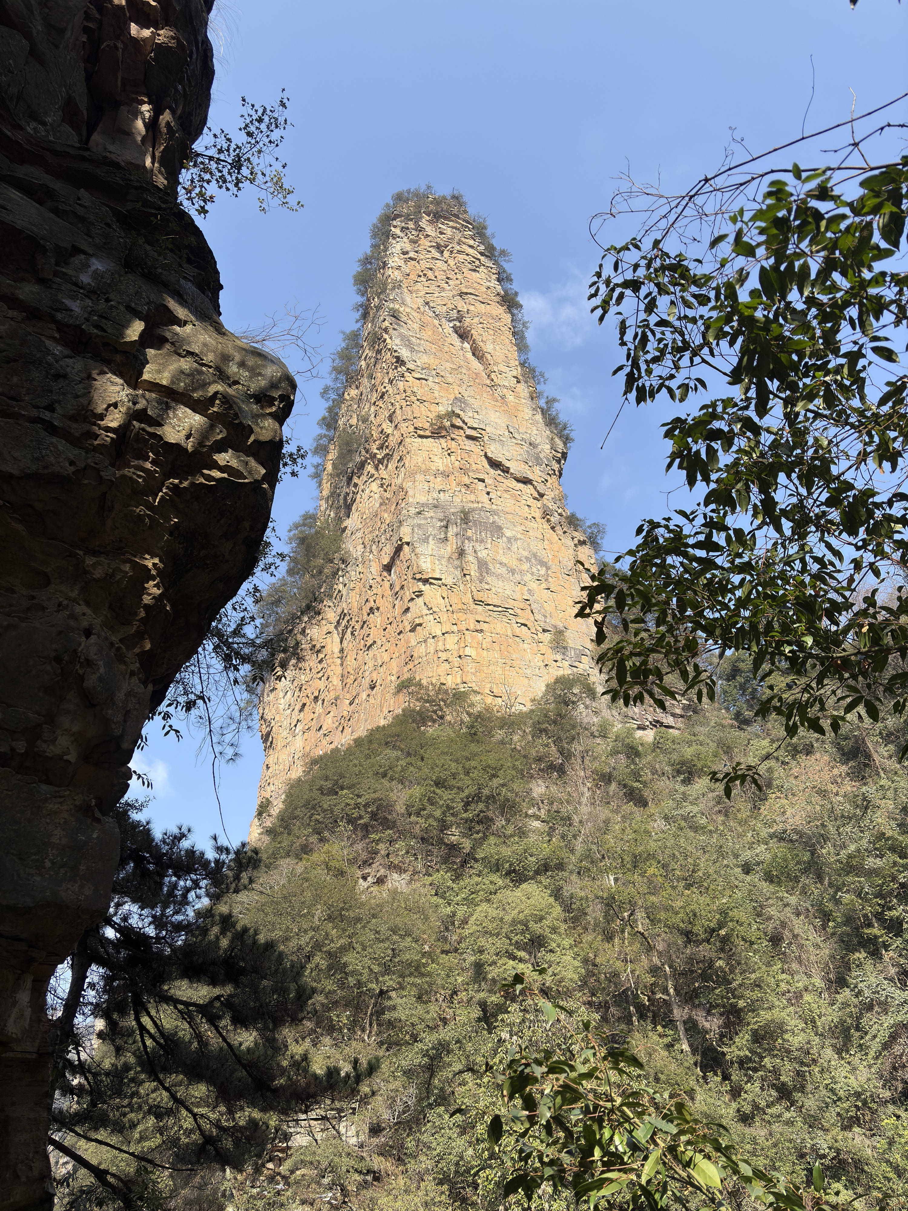 Picture China Zhangjiajie Tianzi Mountrain 2026-01 101 - Tours Tianzi Mountrain