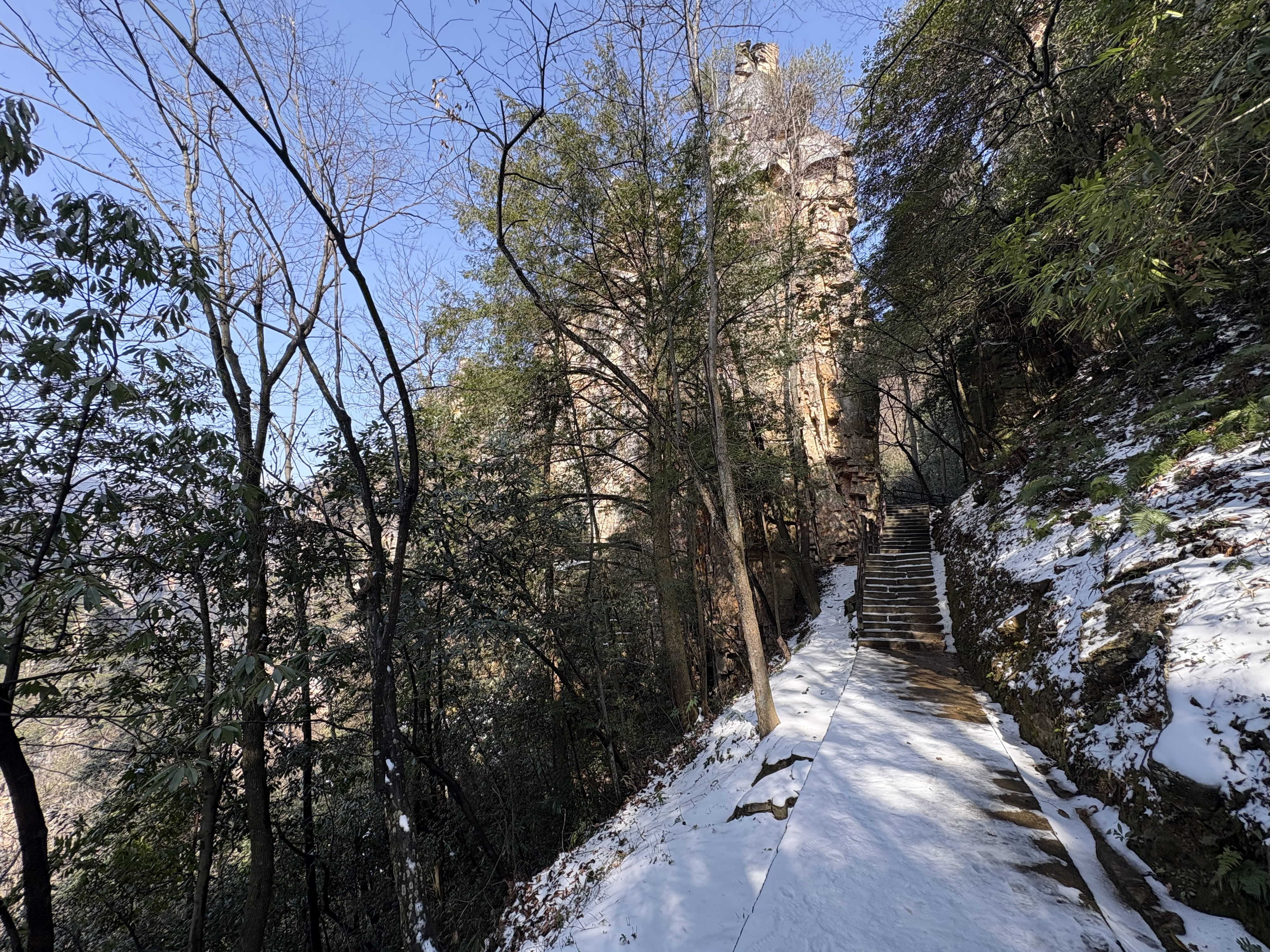 Picture China Zhangjiajie Tianzi Mountrain 2026-01 318 - Tours Tianzi Mountrain