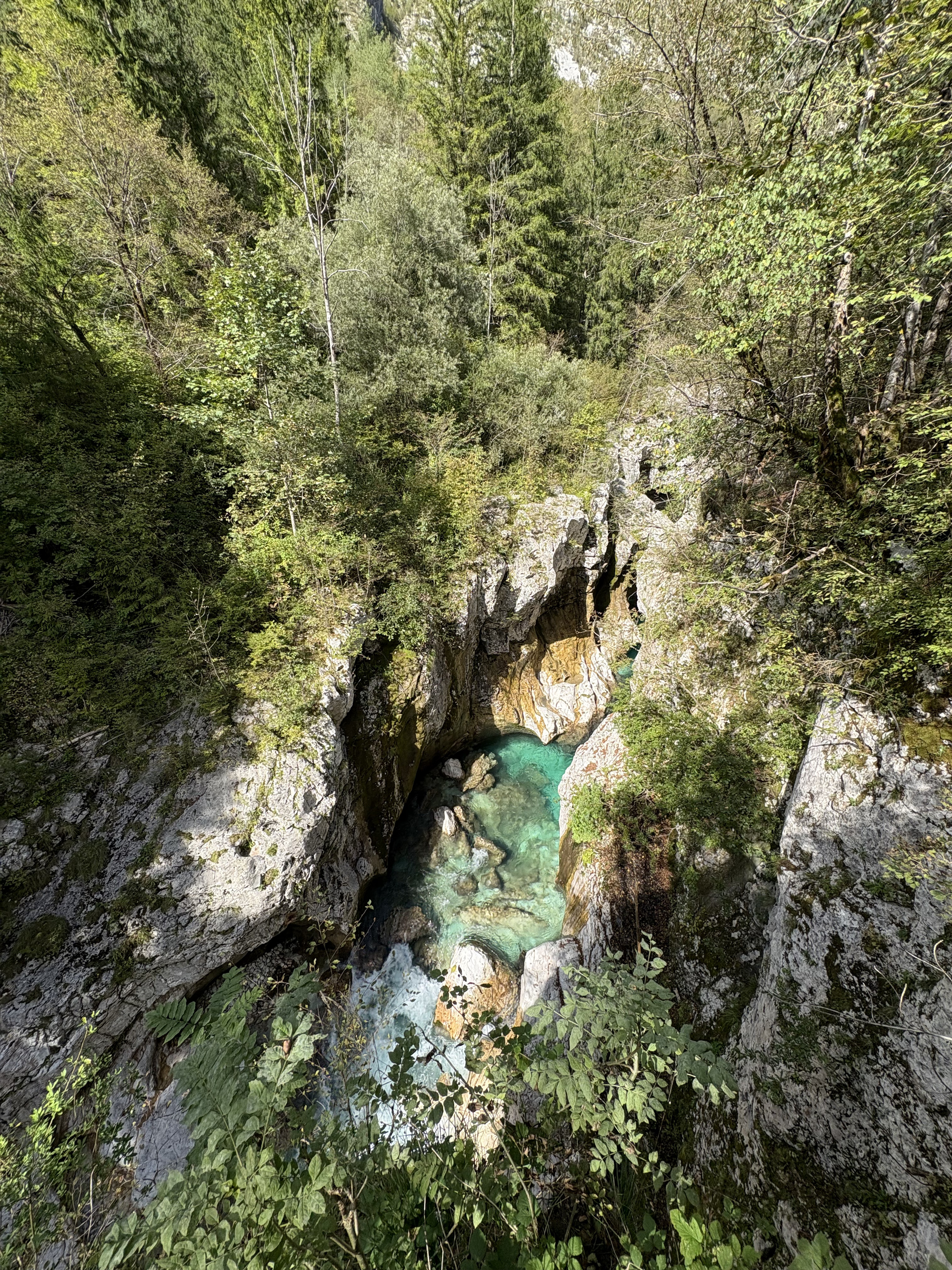Picture Slovenia Soca River 2025-09 232 - Tours Soca River