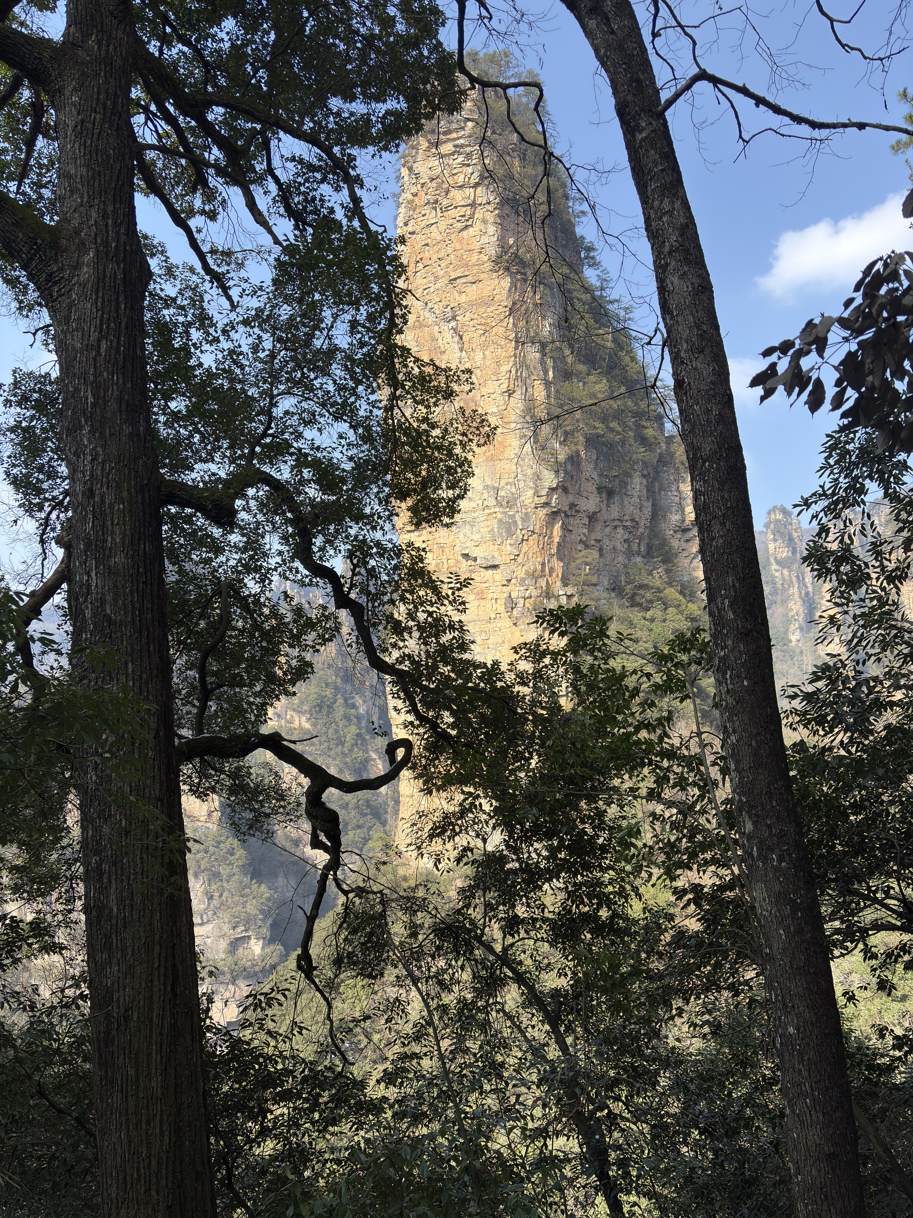 Picture China Zhangjiajie Tianzi Mountrain 2026-01 9 - Journey Tianzi Mountrain