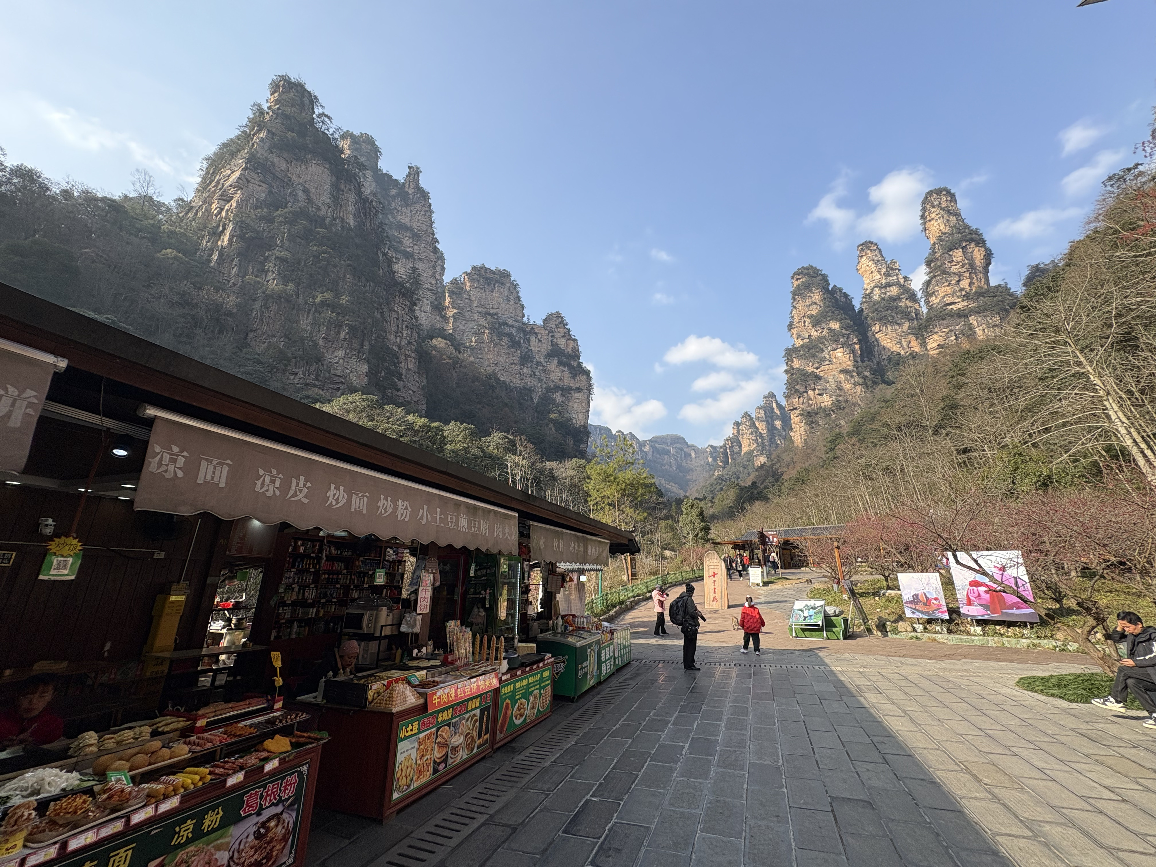 Picture China Zhangjiajie Tianzi Mountrain 2026-01 182 - Recreation Tianzi Mountrain