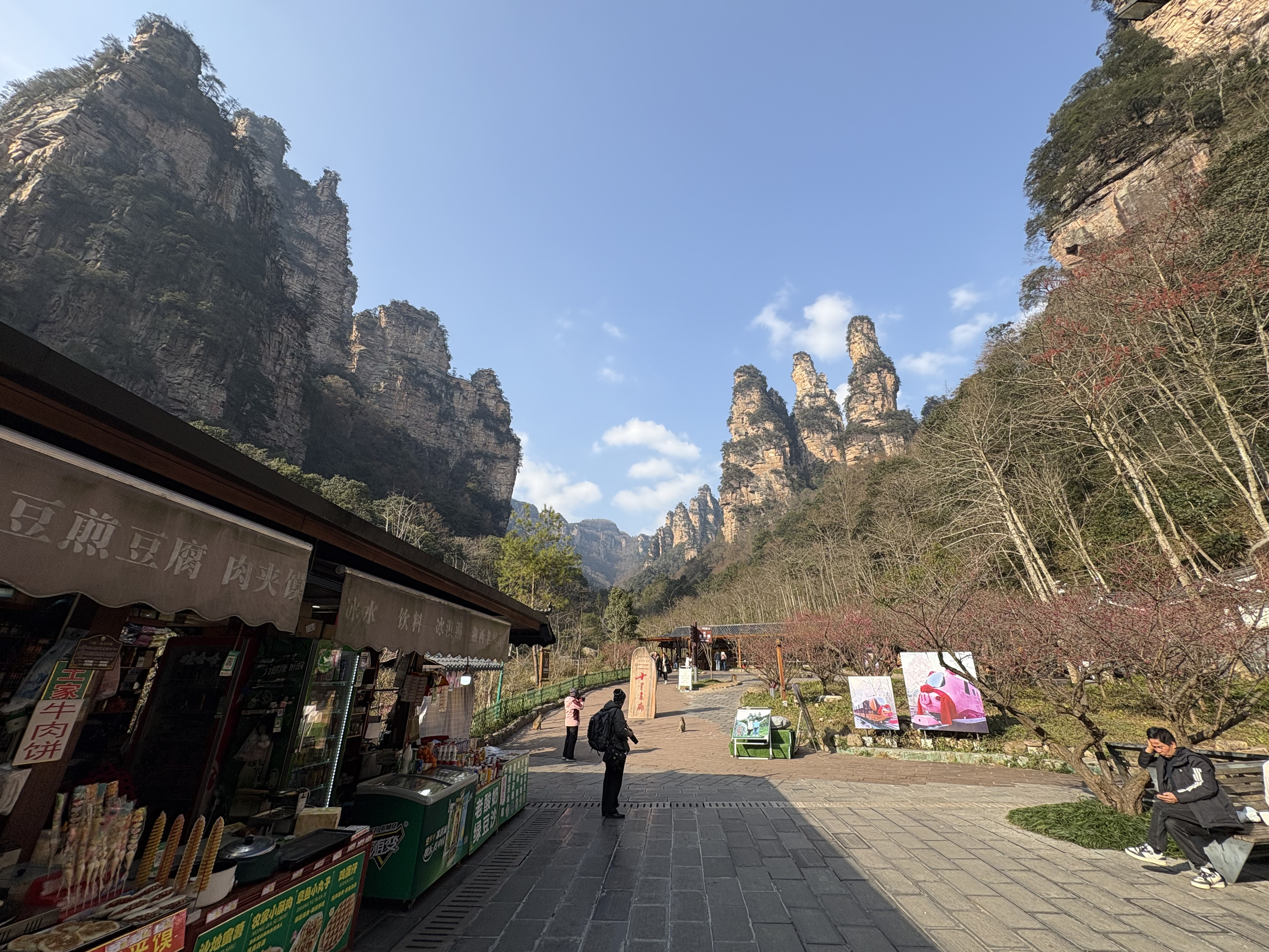Picture China Zhangjiajie Tianzi Mountrain 2026-01 150 - Journey Tianzi Mountrain