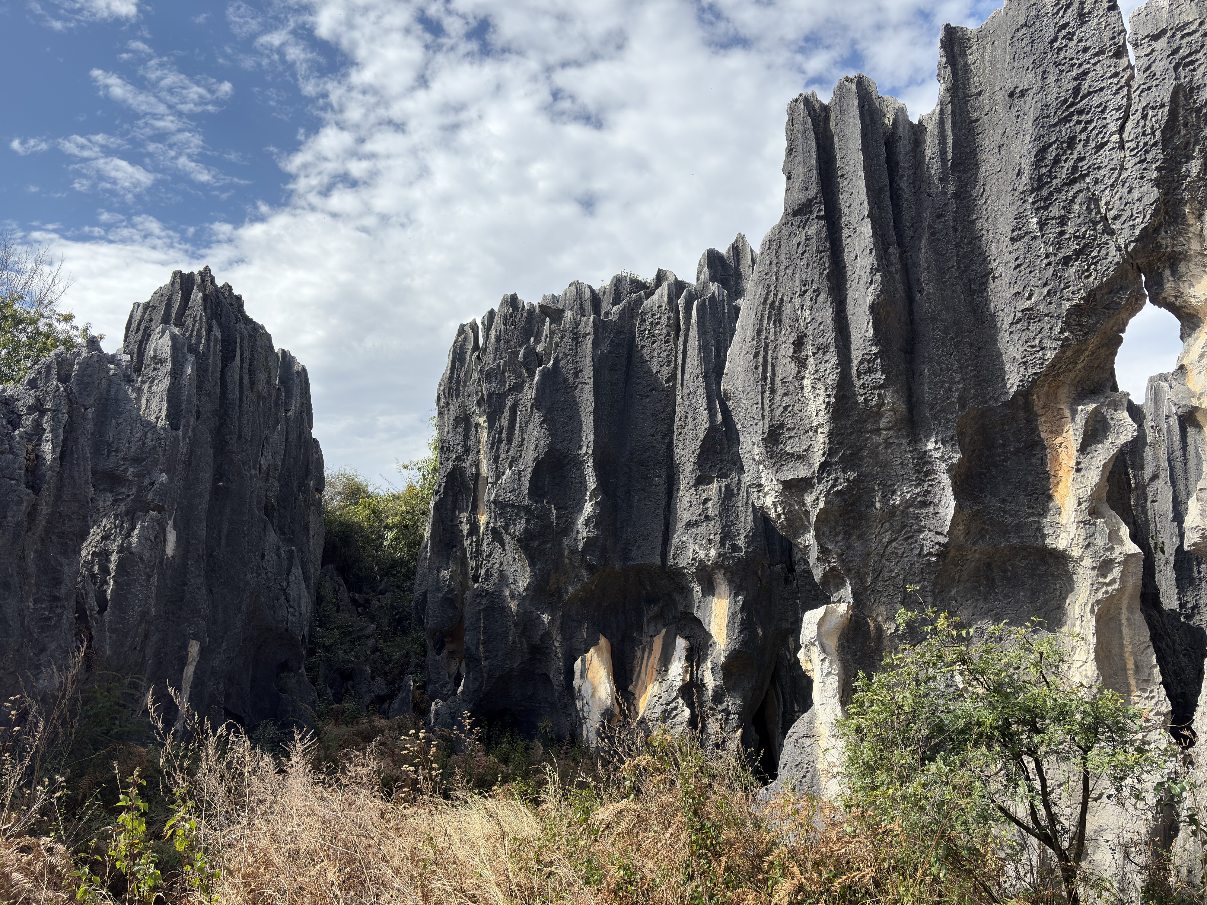 Picture China Shilin Stone Forest 2026-01 366 - Center Shilin Stone Forest