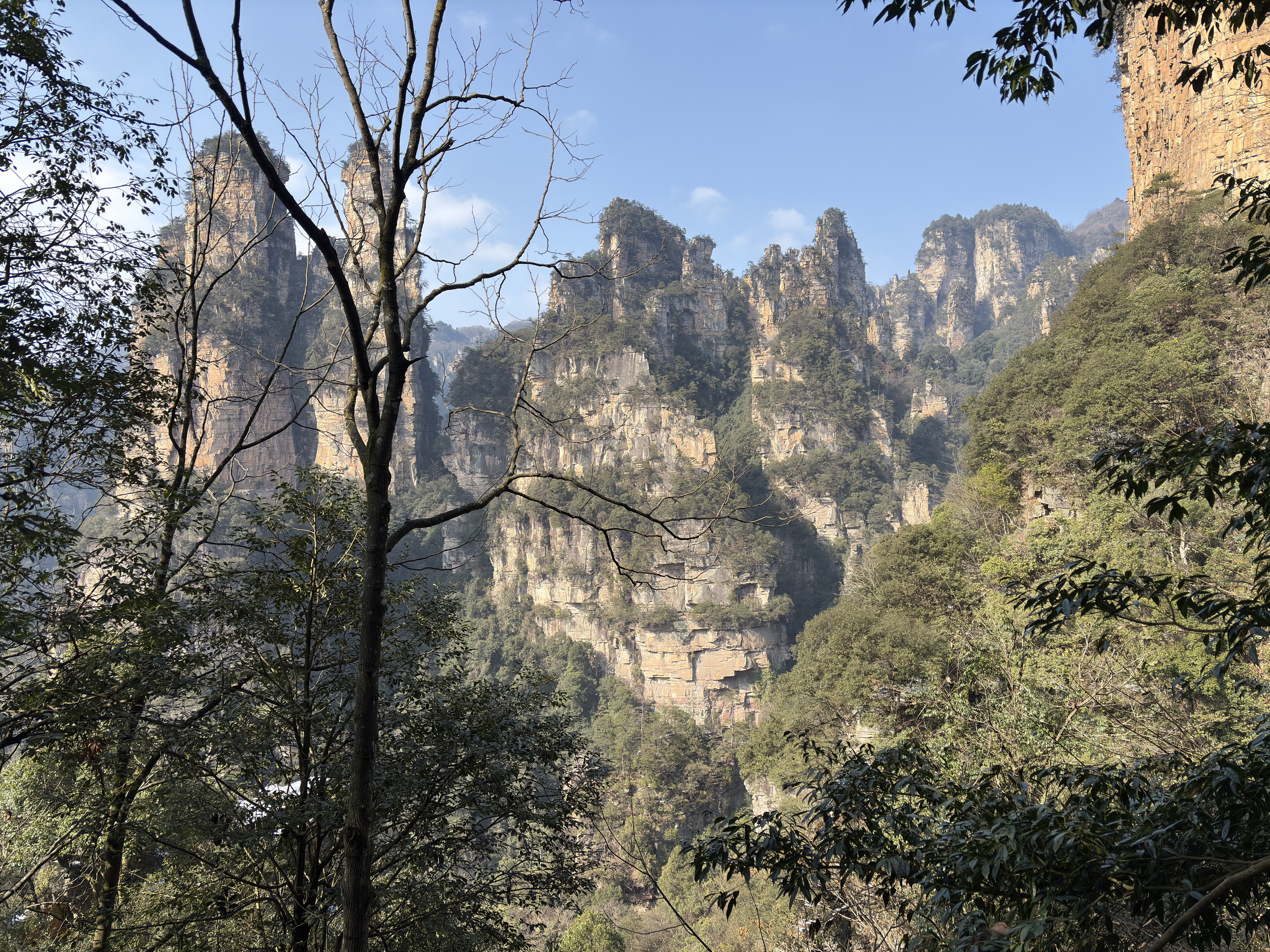Picture China Zhangjiajie Tianzi Mountrain 2026-01 78 - Journey Tianzi Mountrain