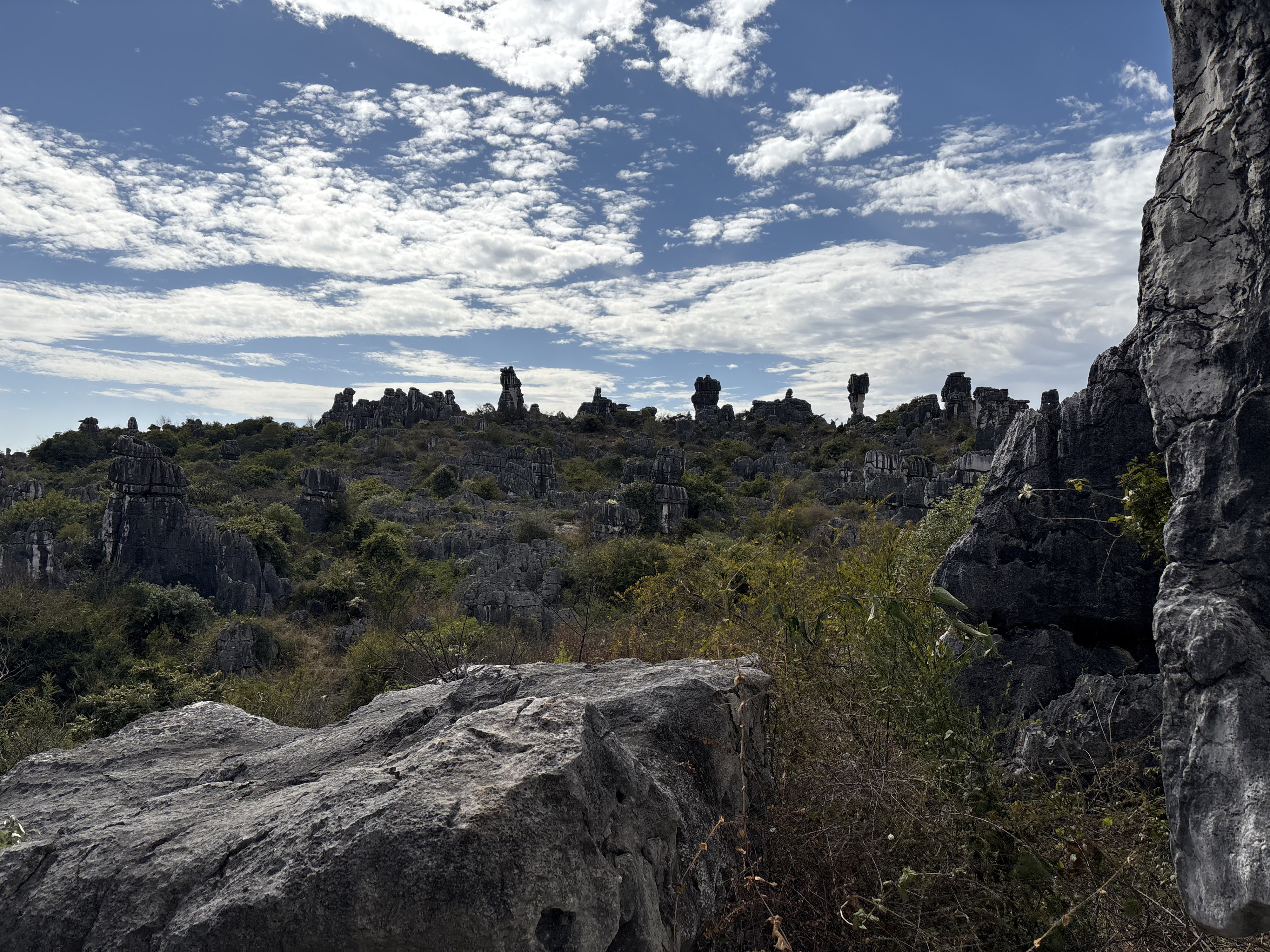 Picture China Shilin Stone Forest 2026-01 258 - Discovery Shilin Stone Forest